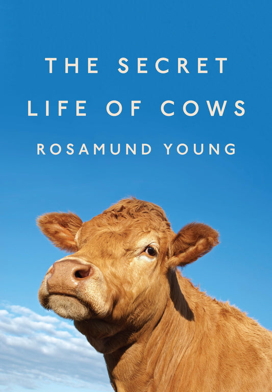 The Secret Life of Cows The Happy Book Stack