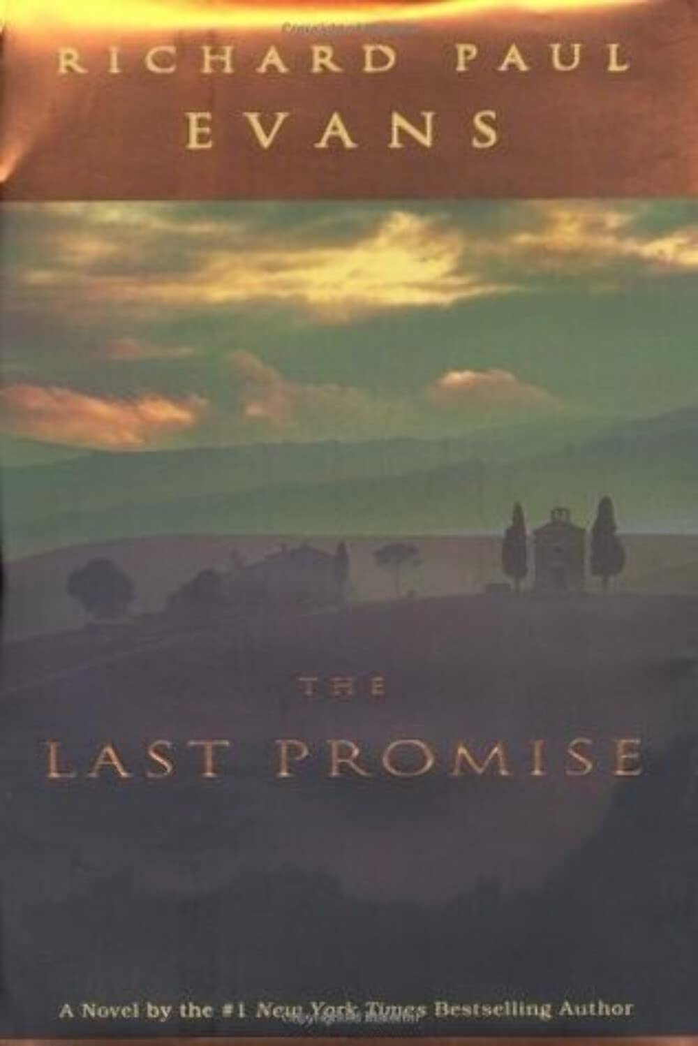 The Last Promise The Happy Book Stack