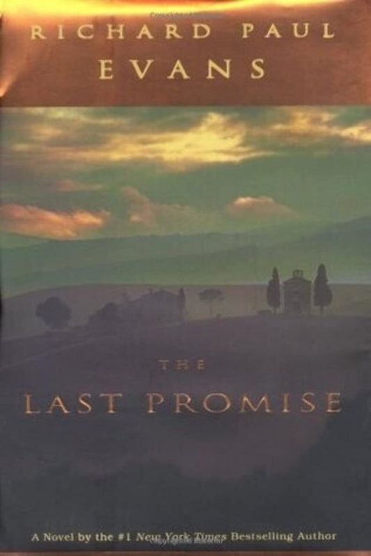 The Last Promise The Happy Book Stack