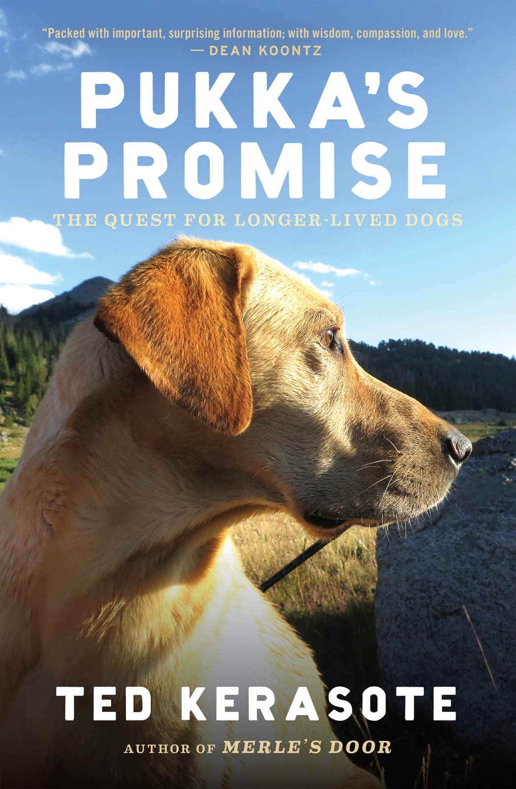 Pukka's Promise: The Quest for Longer-Lived Dogs The Happy Book Stack