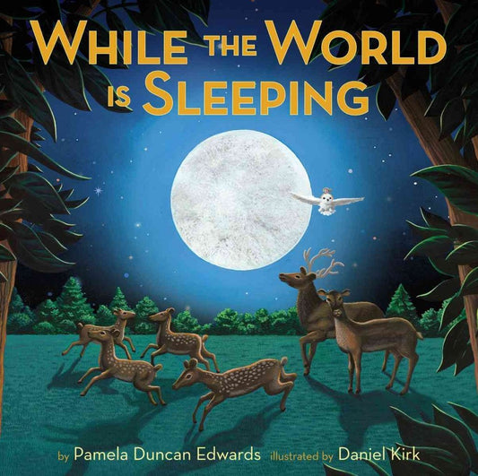 While The World Is Sleeping The Happy Book Stack