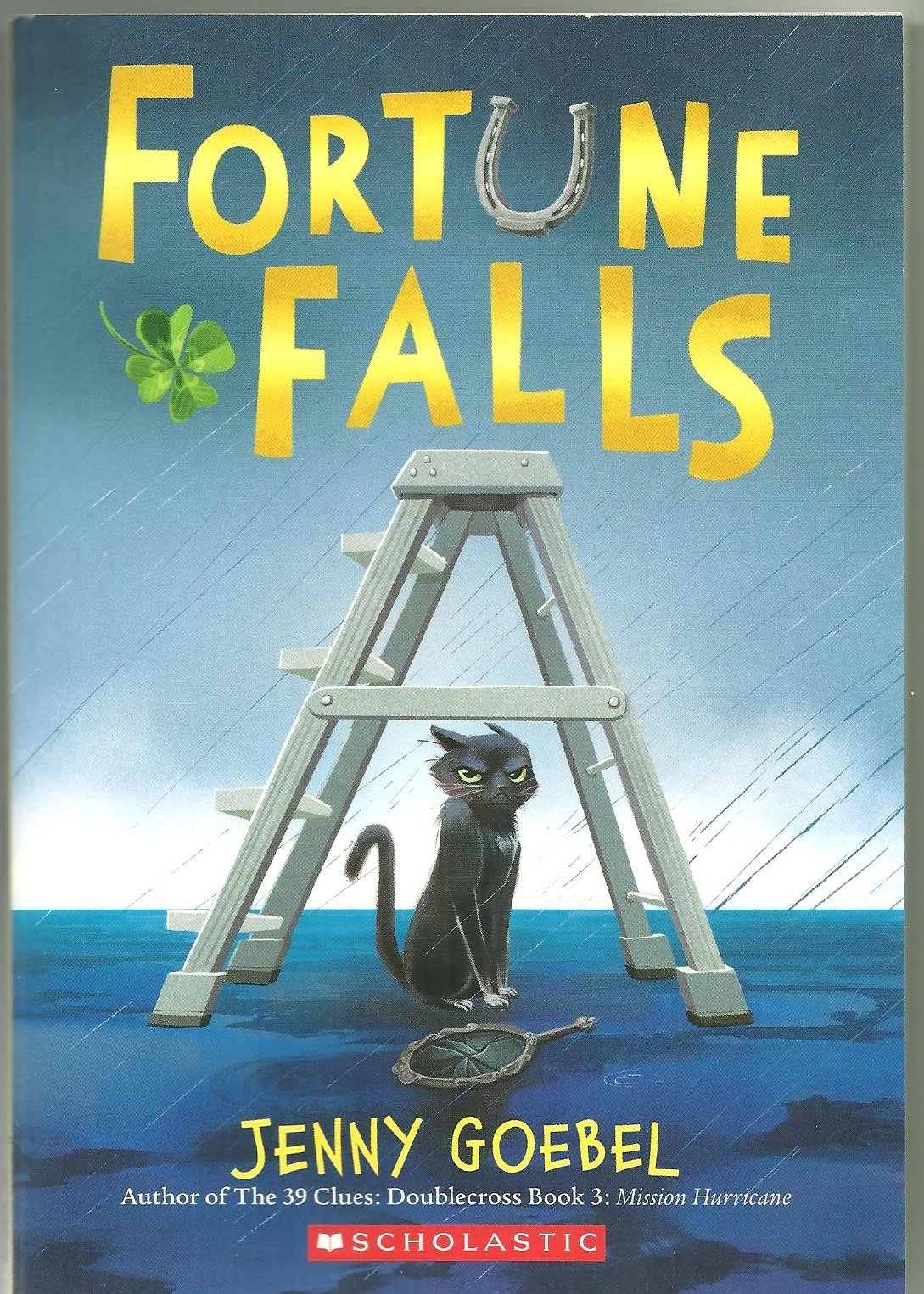Fortune Falls - 8612