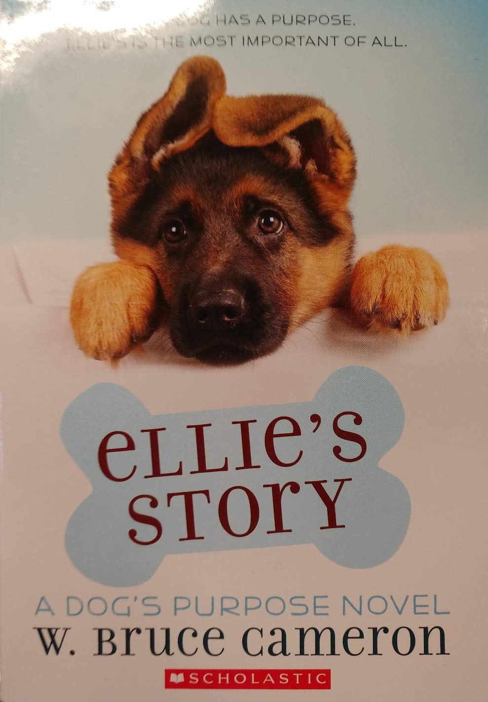 Ellies Story The Happy Book Stack