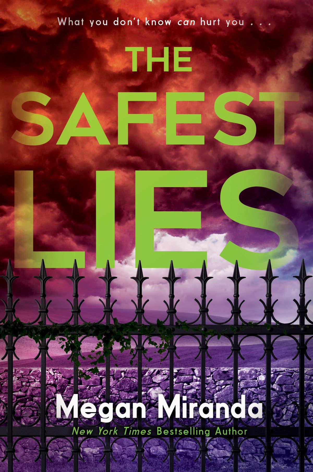 The Safest Lies The Happy Book Stack