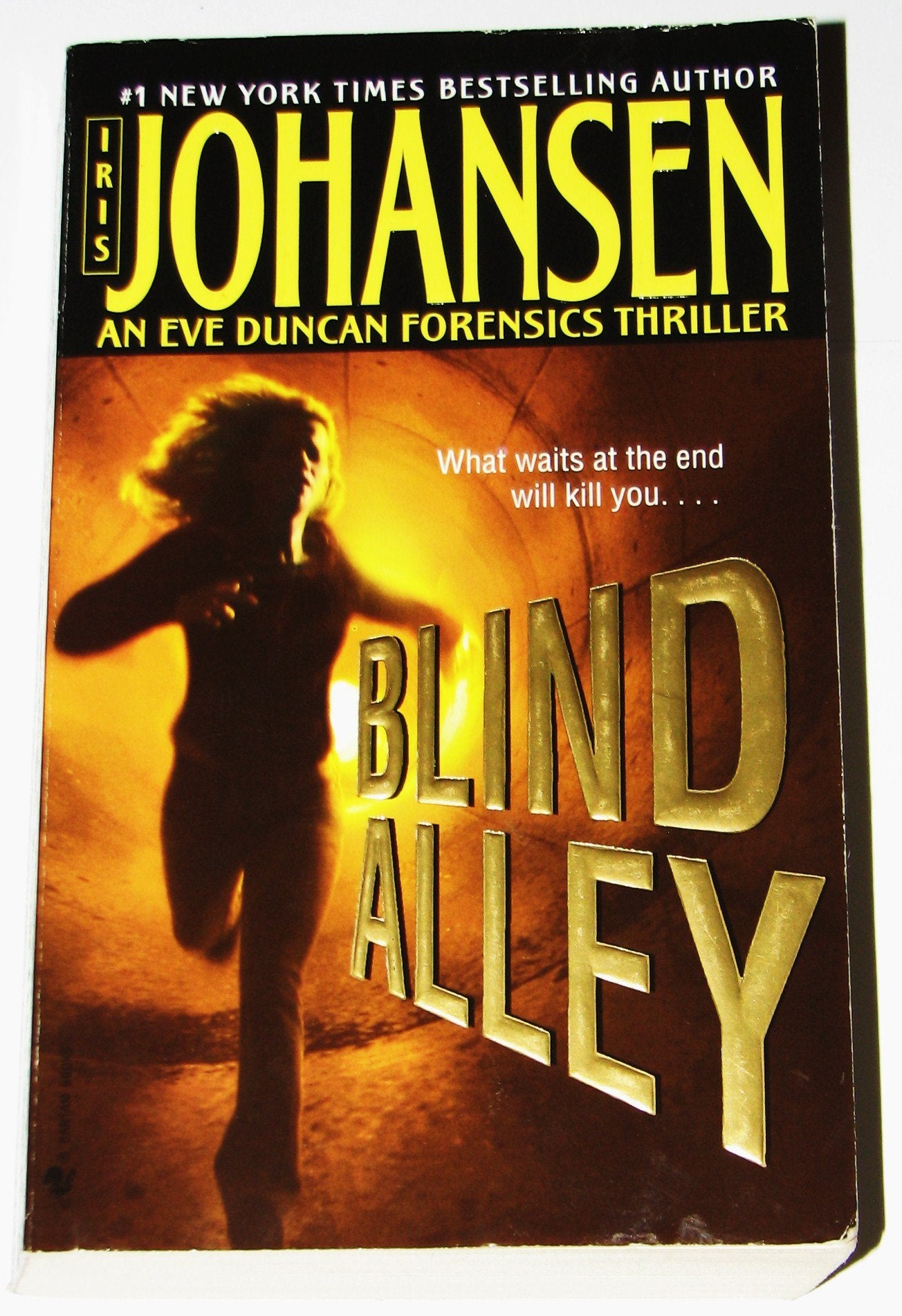 Blind Alley: An Eve Duncan Forensics Thriller The Happy Book Stack