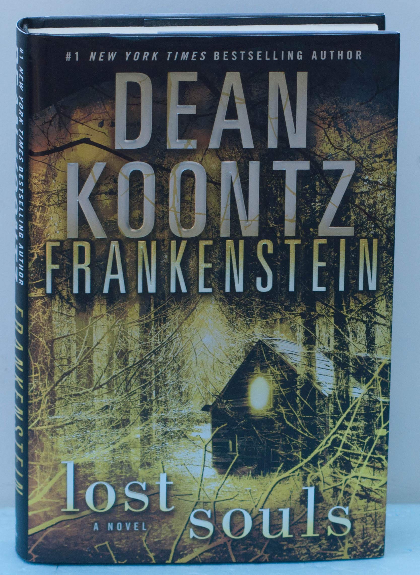 Frankenstein: Lost Souls The Happy Book Stack