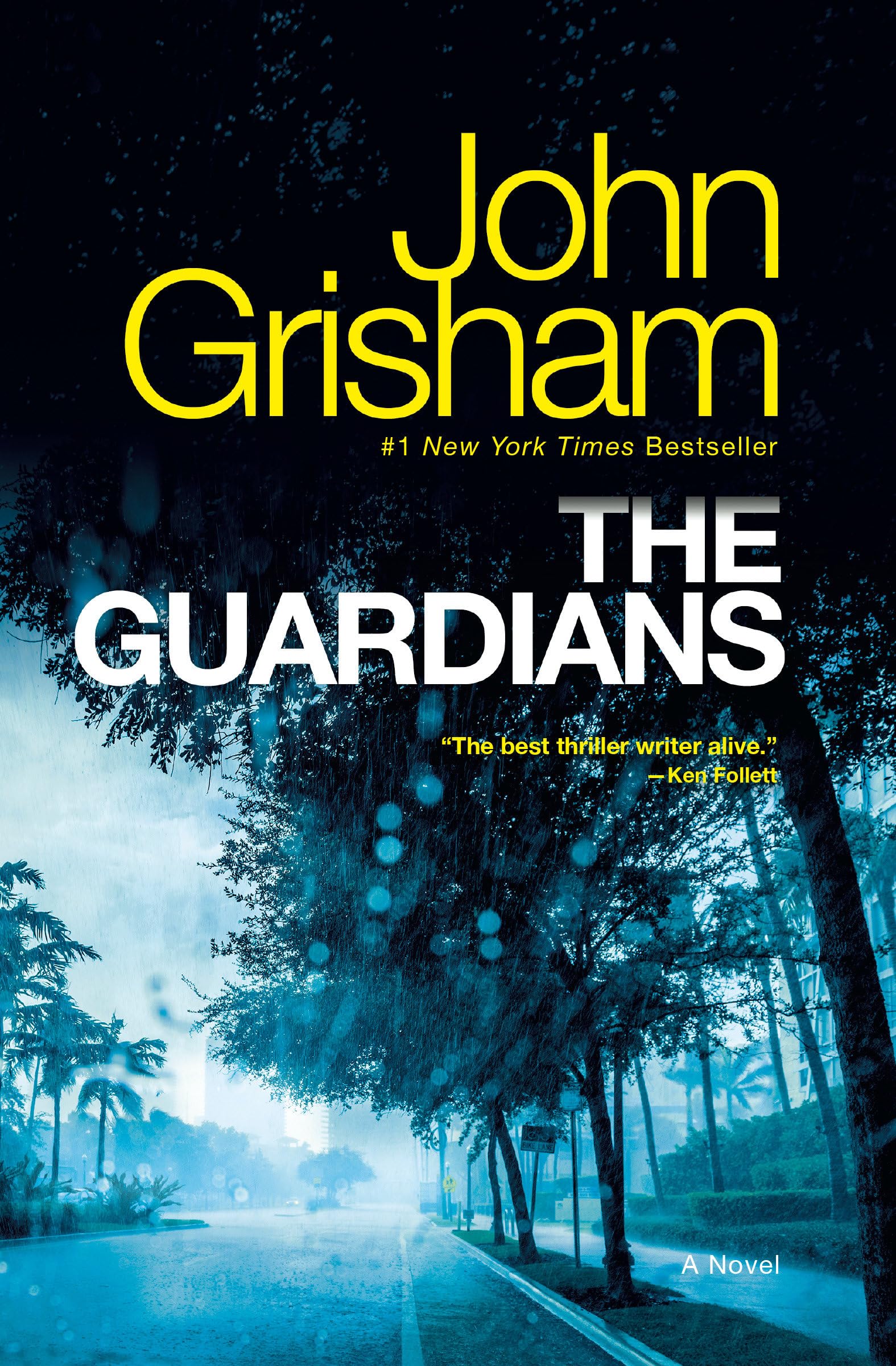 The Guardians: A Novel The Happy Book Stack