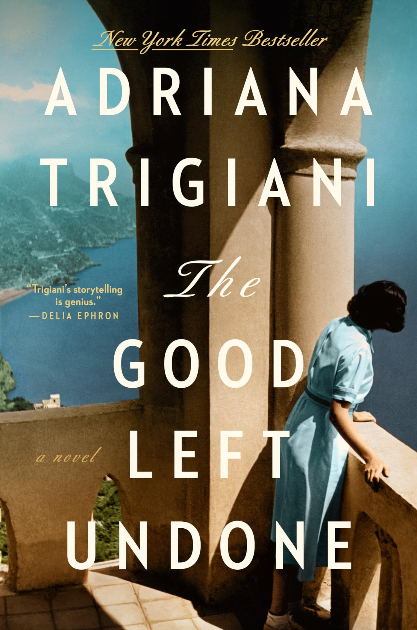 The Good Left Undone: A Novel The Happy Book Stack