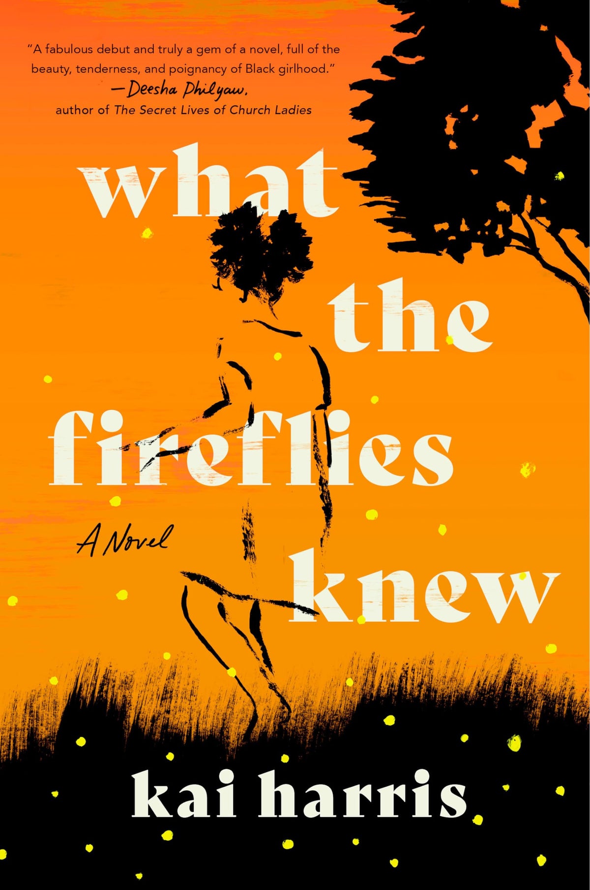What the Fireflies Knew: A Novel The Happy Book Stack