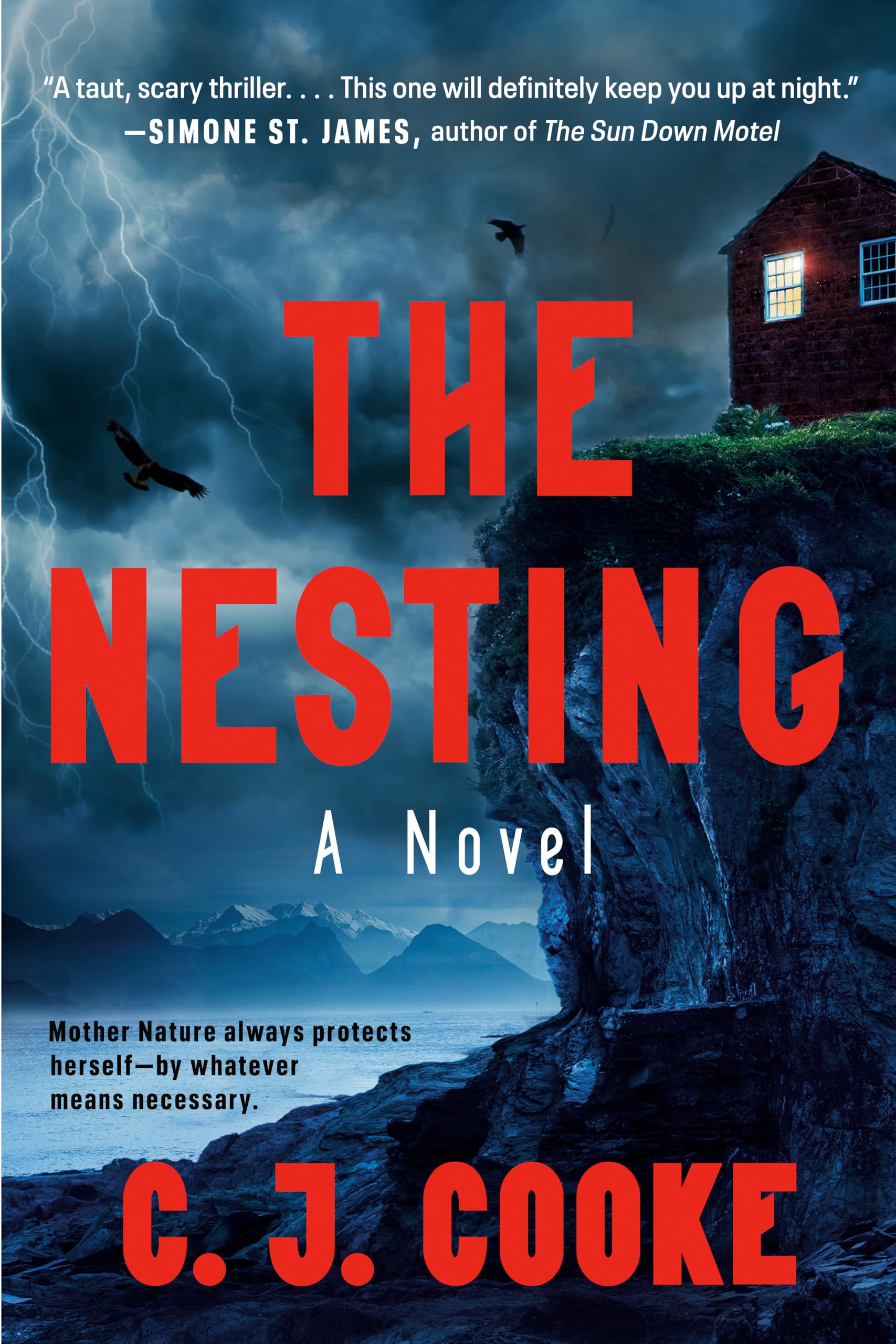 The Nesting The Happy Book Stack