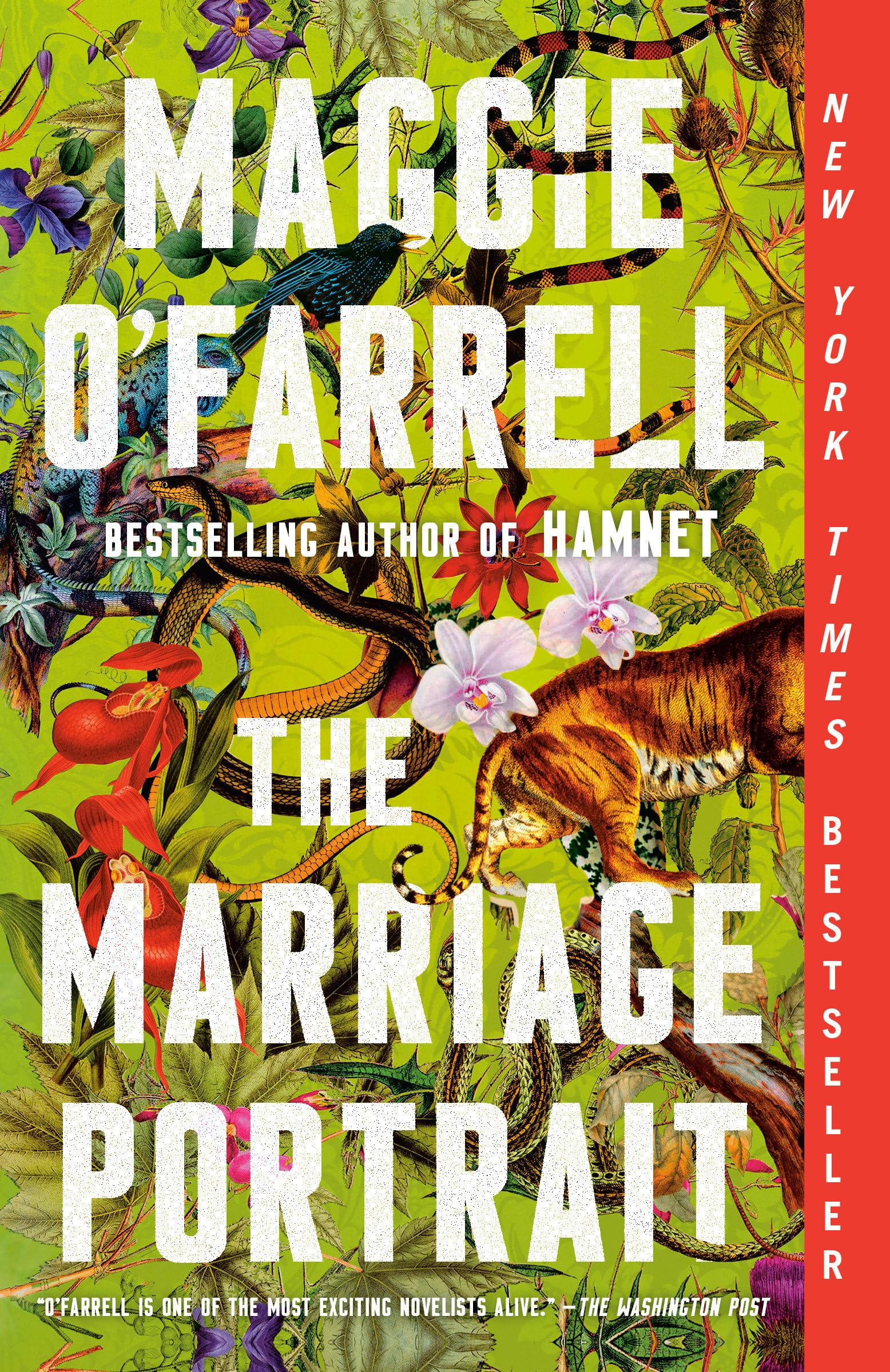 The Marriage Portrait: Reese's Book Club: A novel The Happy Book Stack