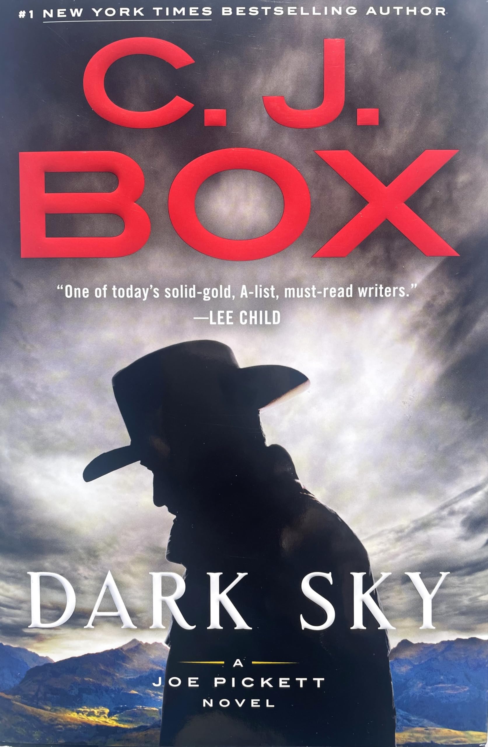 Dark Sky The Happy Book Stack