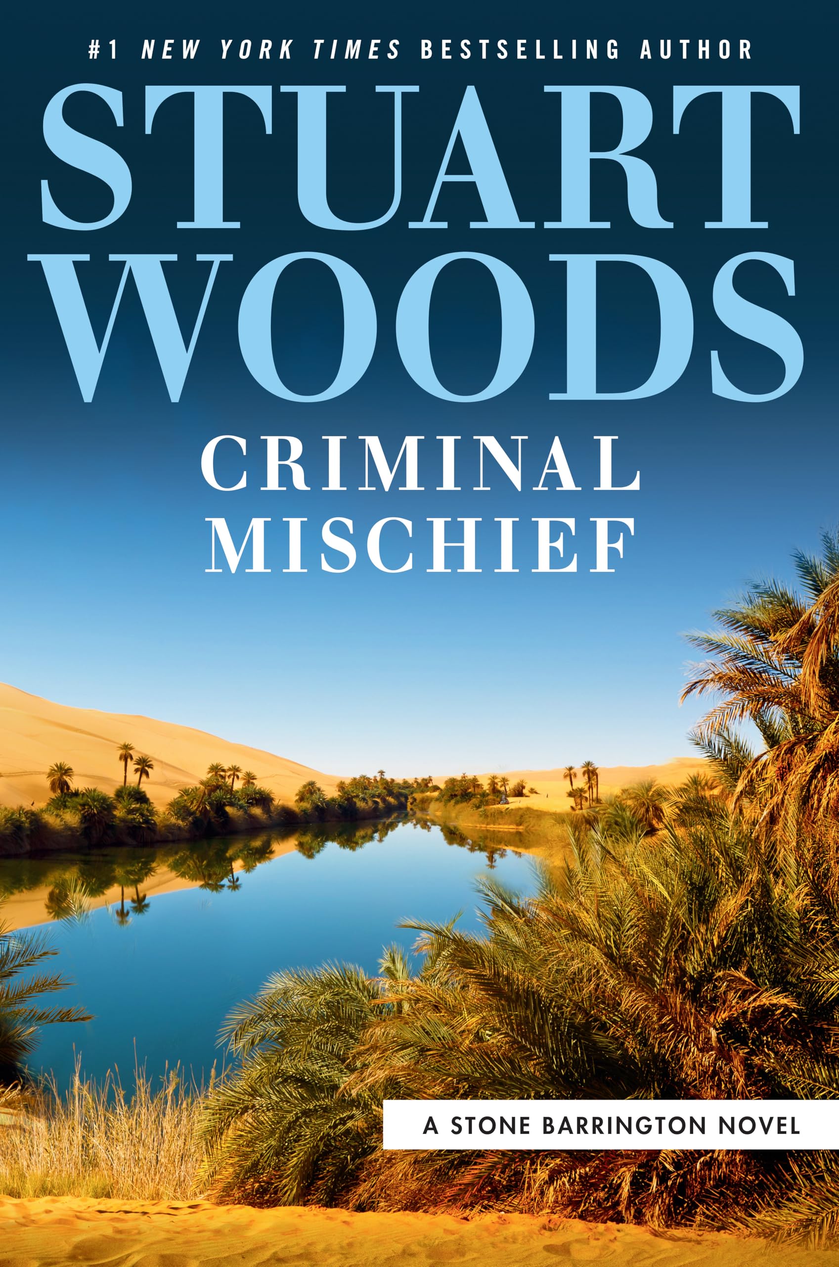 Criminal Mischief (A Stone Barrington Novel) The Happy Book Stack