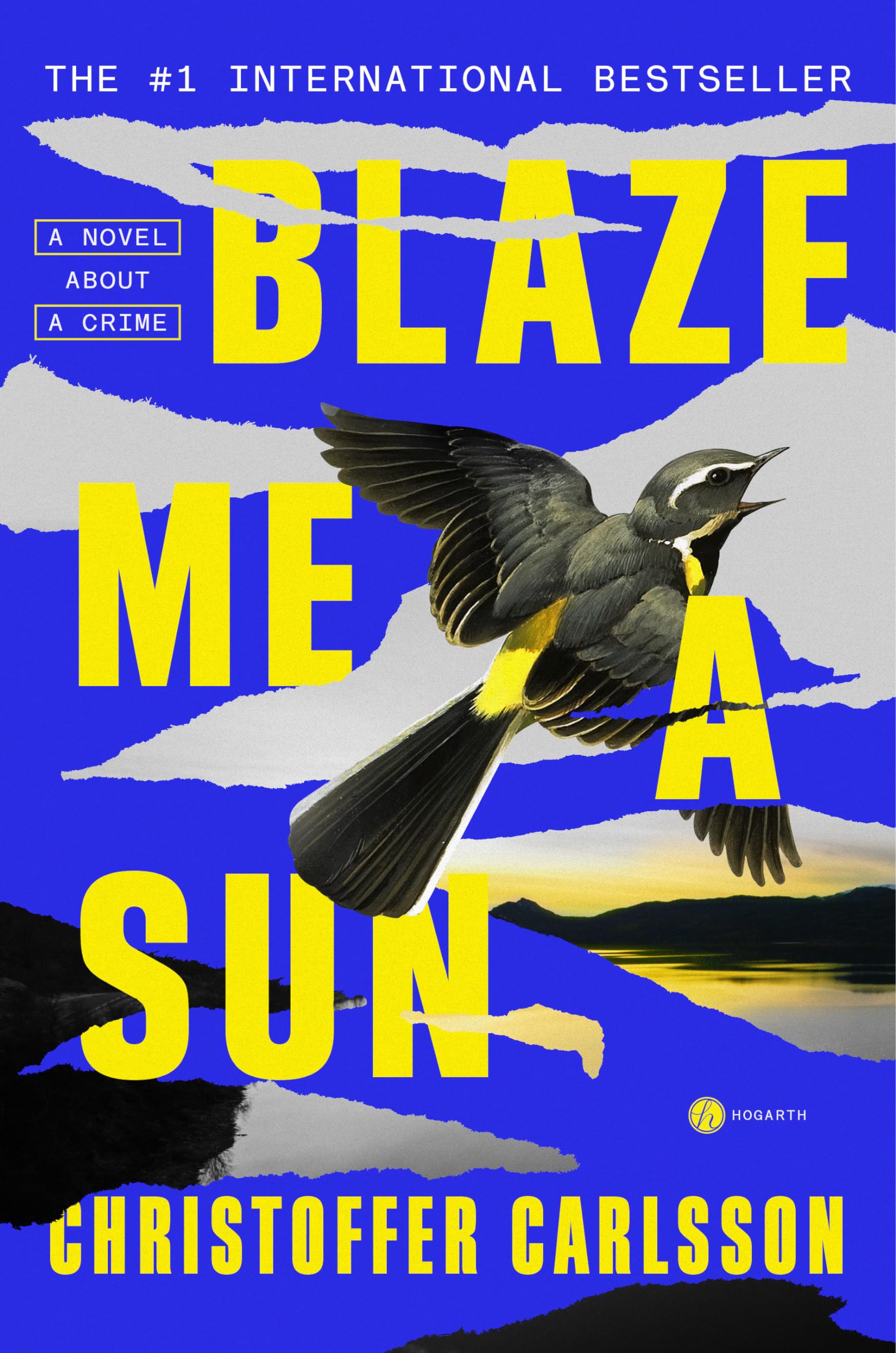Blaze Me a Sun: A Novel About a Crime The Happy Book Stack