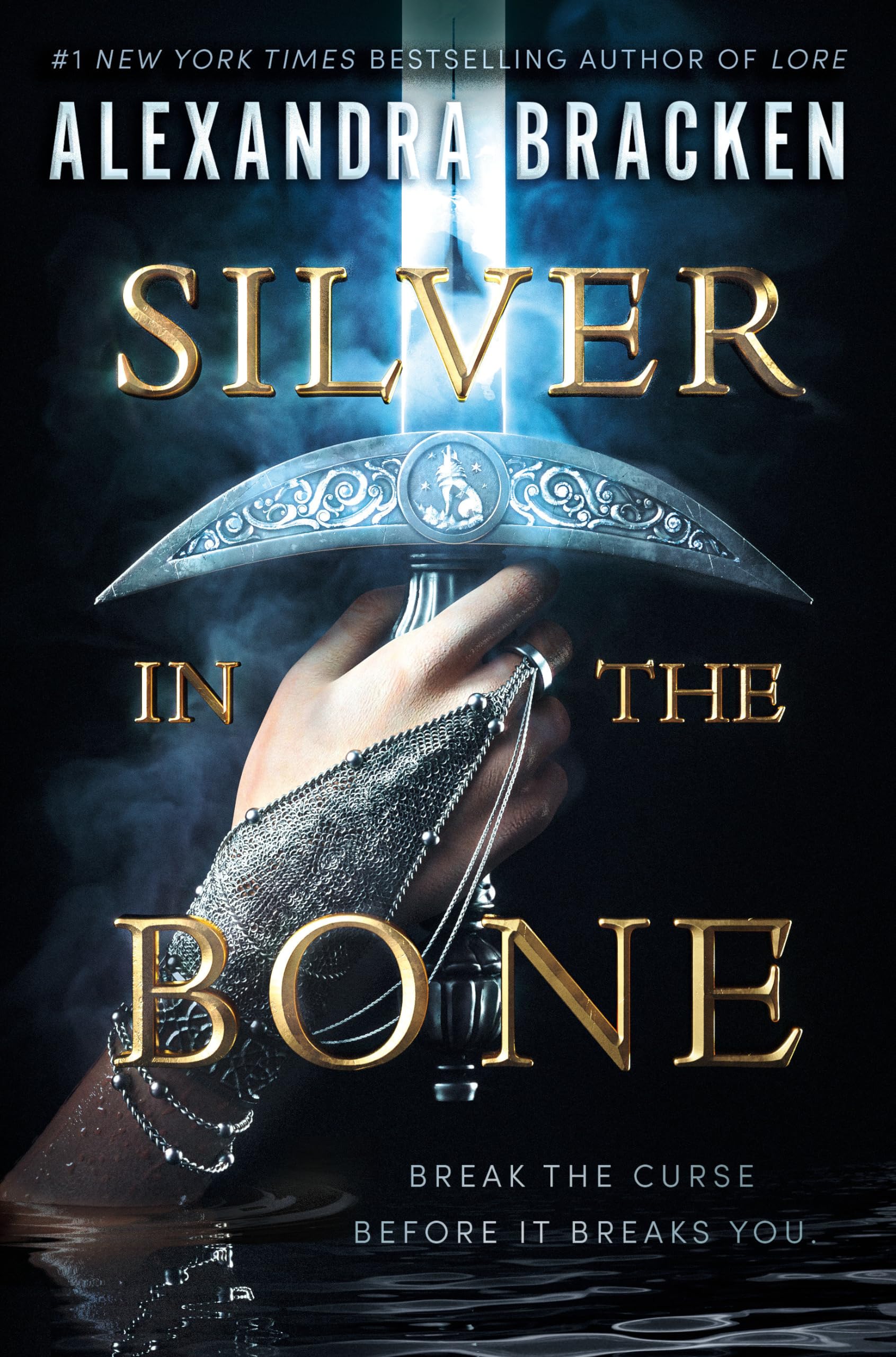 Silver in the Bone The Happy Book Stack