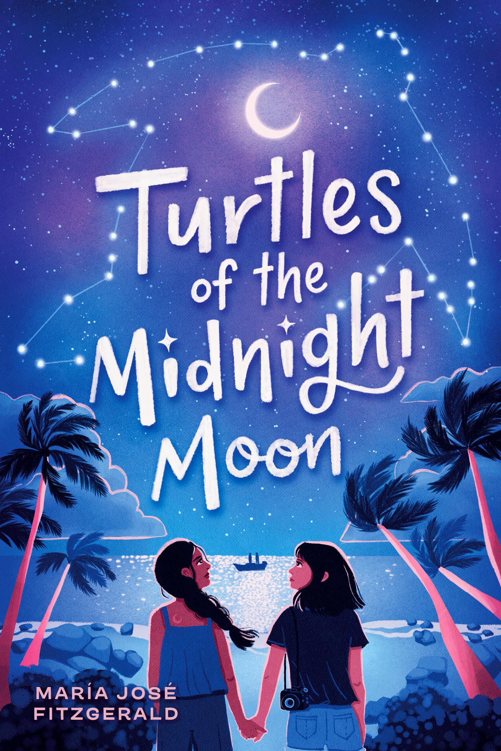 Turtles of the Midnight Moon The Happy Book Stack