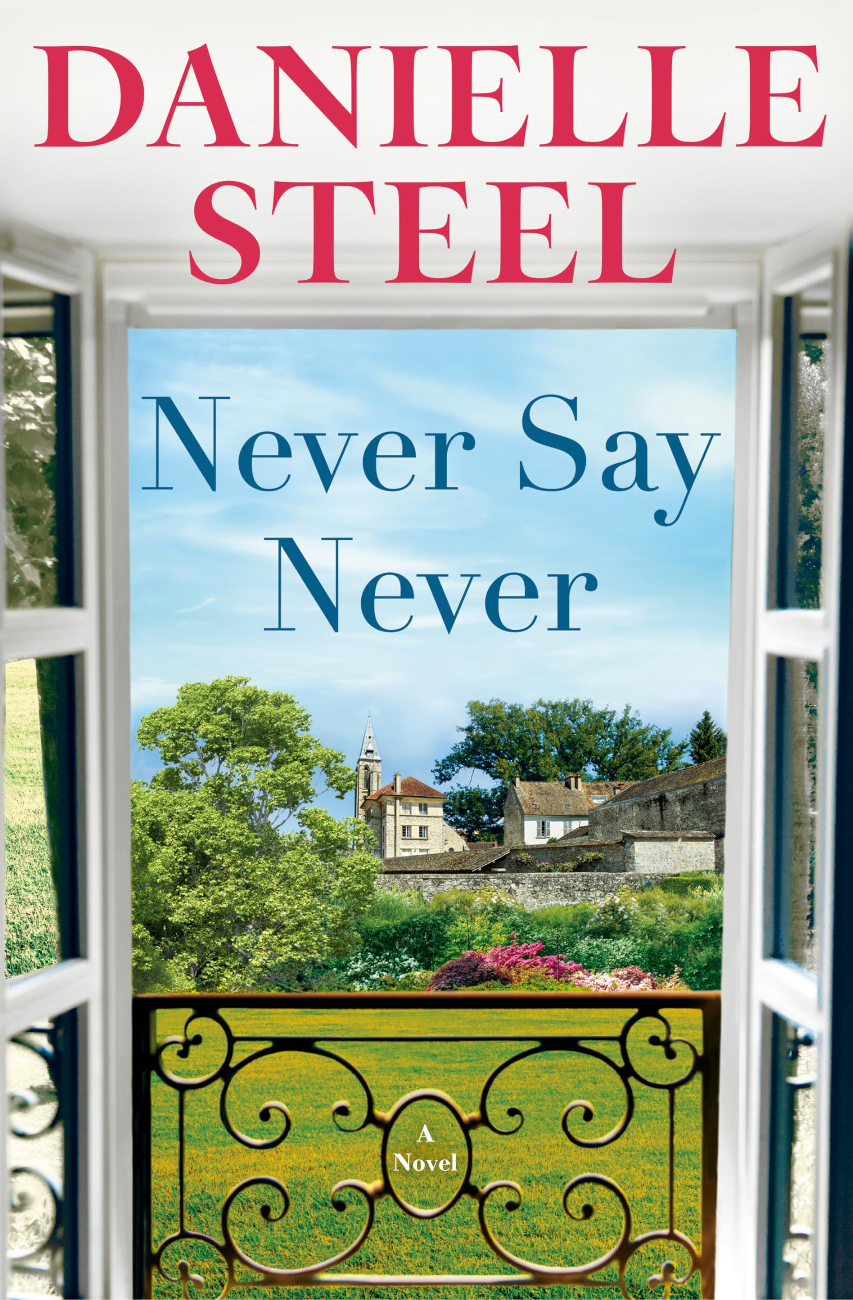 Never Say Never: A Novel The Happy Book Stack
