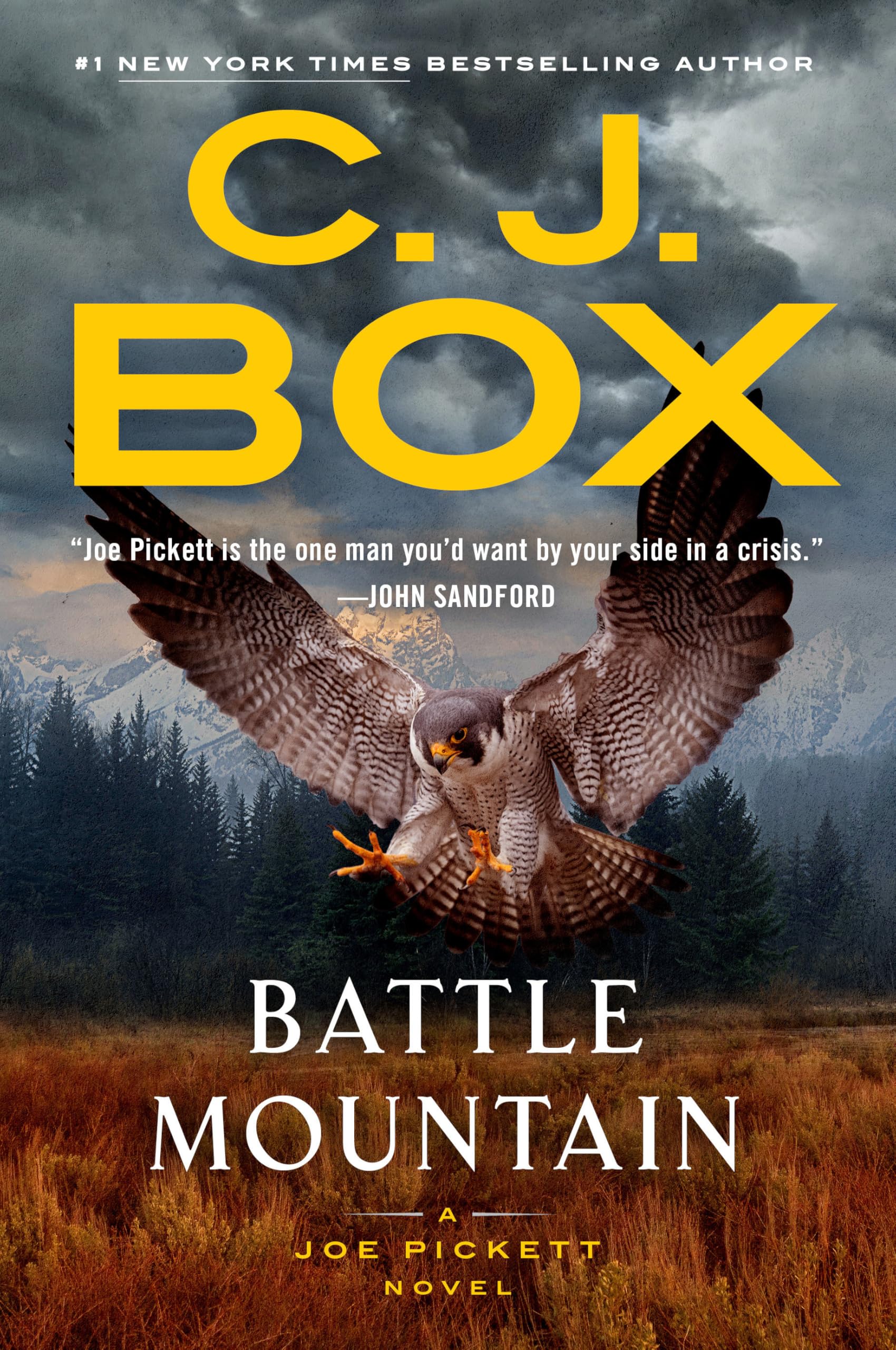 Battle Mountain (A Joe Pickett Novel) The Happy Book Stack