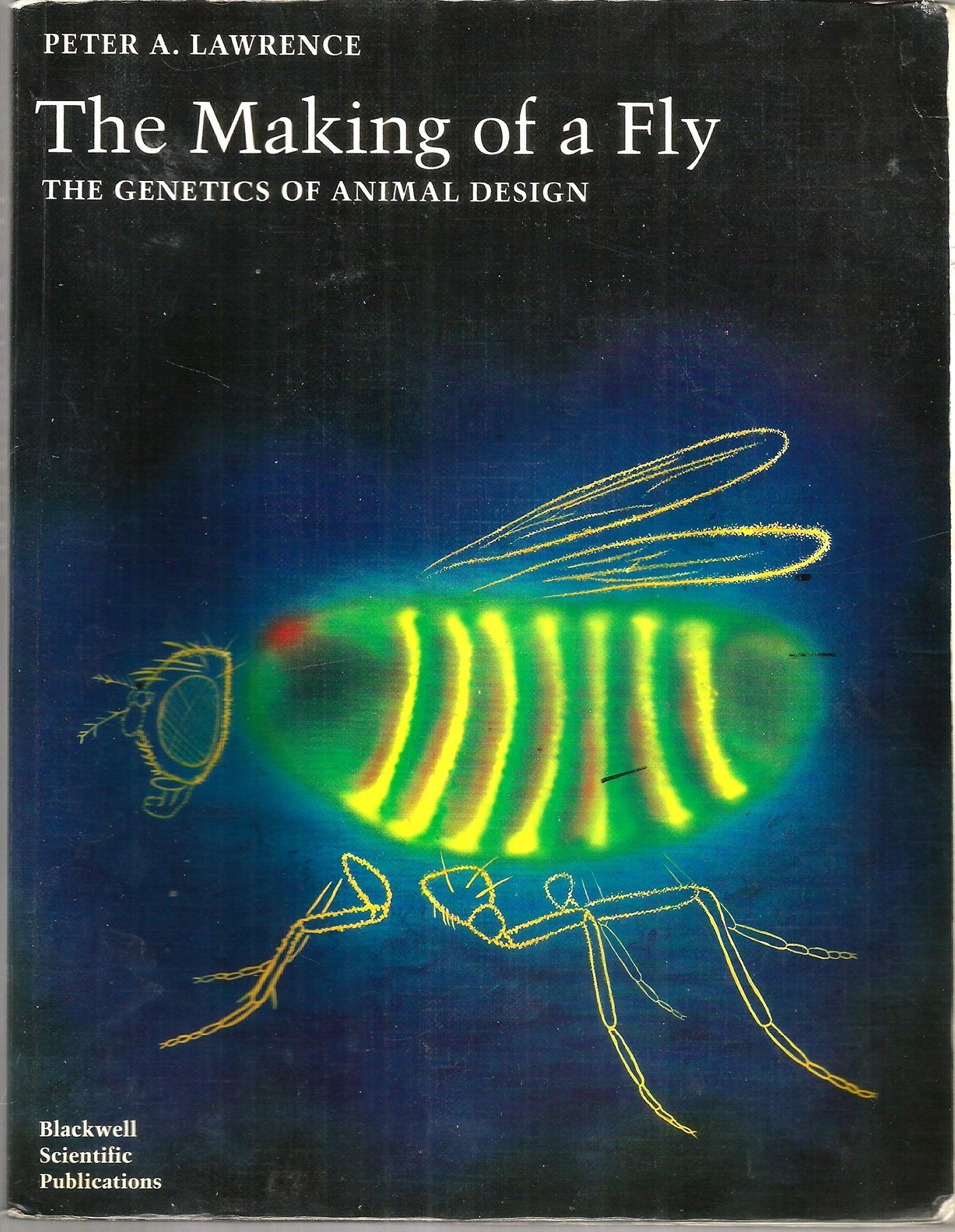 The Making of a Fly: The Genetics of Animal Design