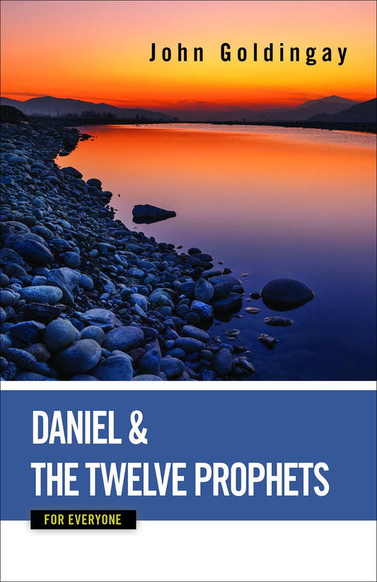Daniel and the Twelve Prophets for Everyone The Happy Book Stack