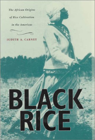 Black Rice: The African Origins of Rice Cultivation in the Americas The Happy Book Stack