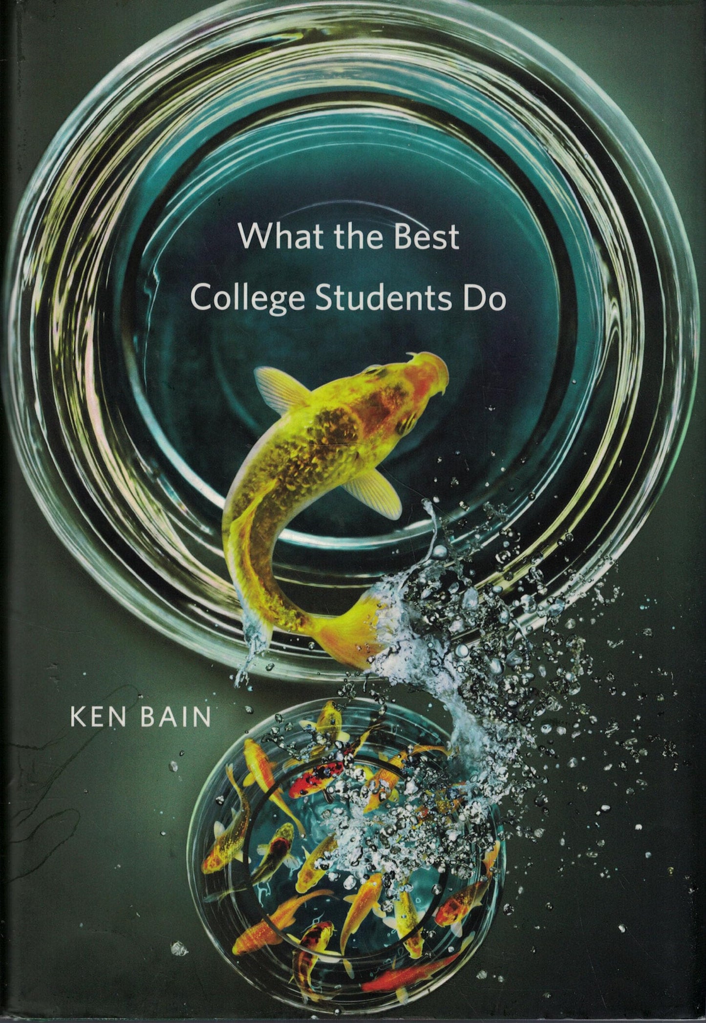 What the Best College Students Do The Happy Book Stack