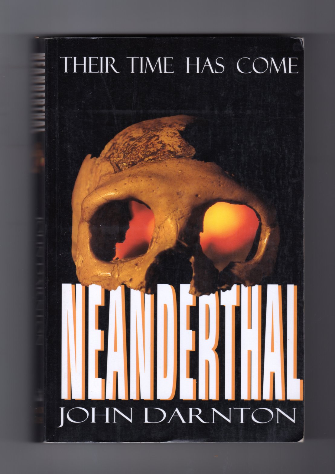 Neanderthal The Happy Book Stack