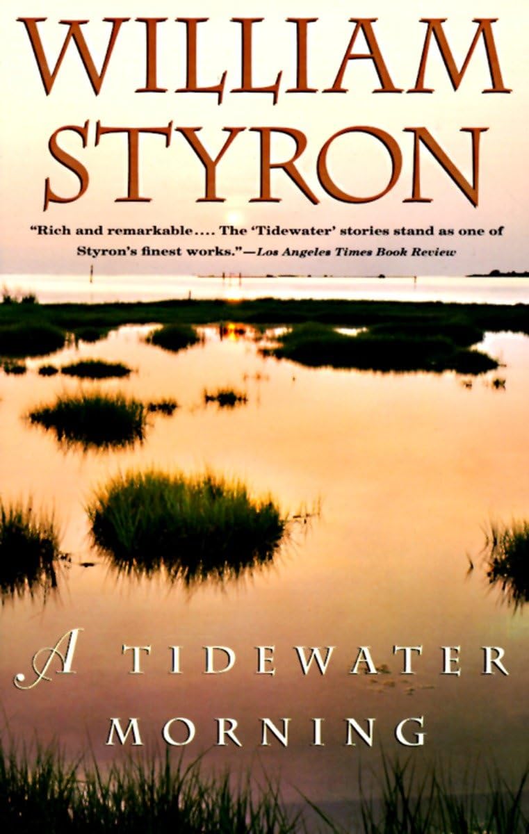 A Tidewater Morning The Happy Book Stack