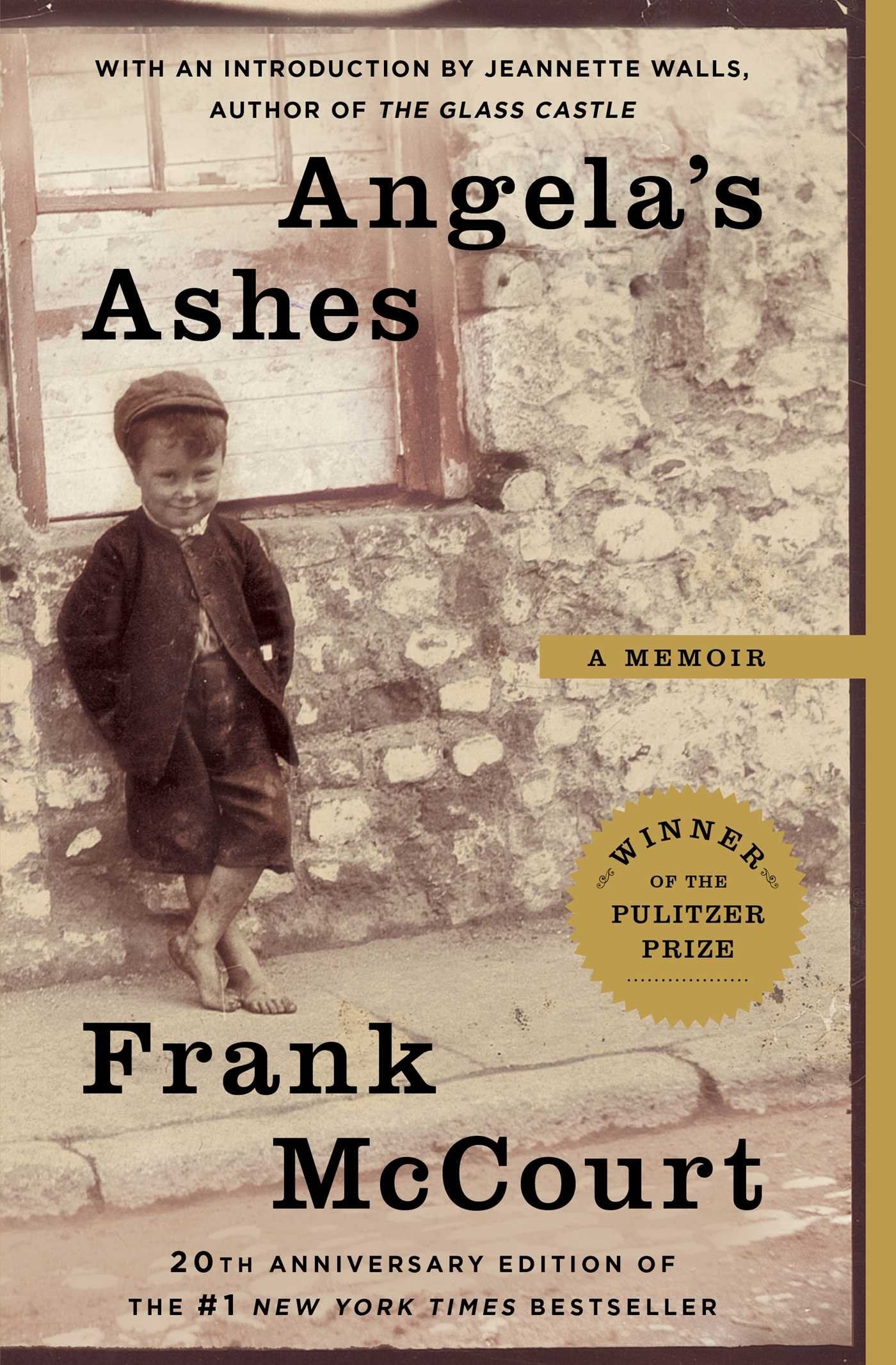 Angela's Ashes: A Memoir The Happy Book Stack
