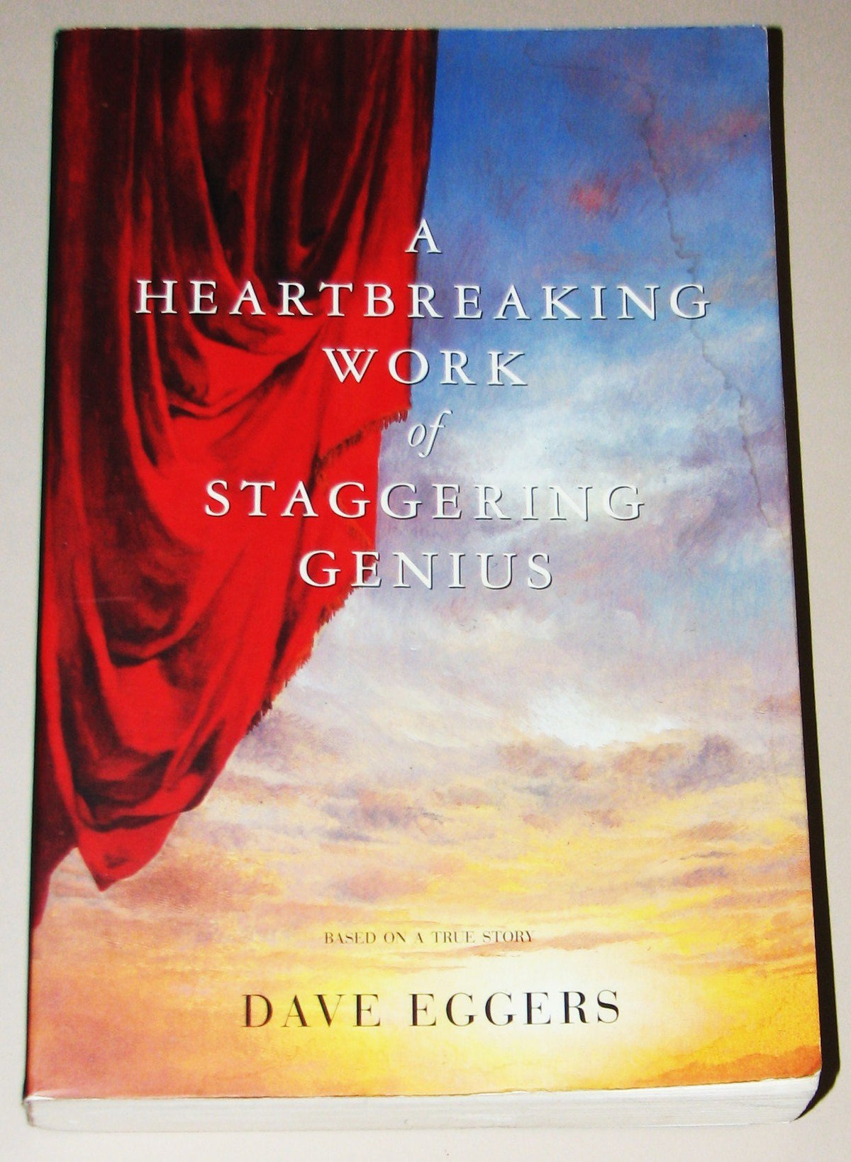 A Heartbreaking Work Of Staggering Genius : A Memoir Based on a True Story The Happy Book Stack