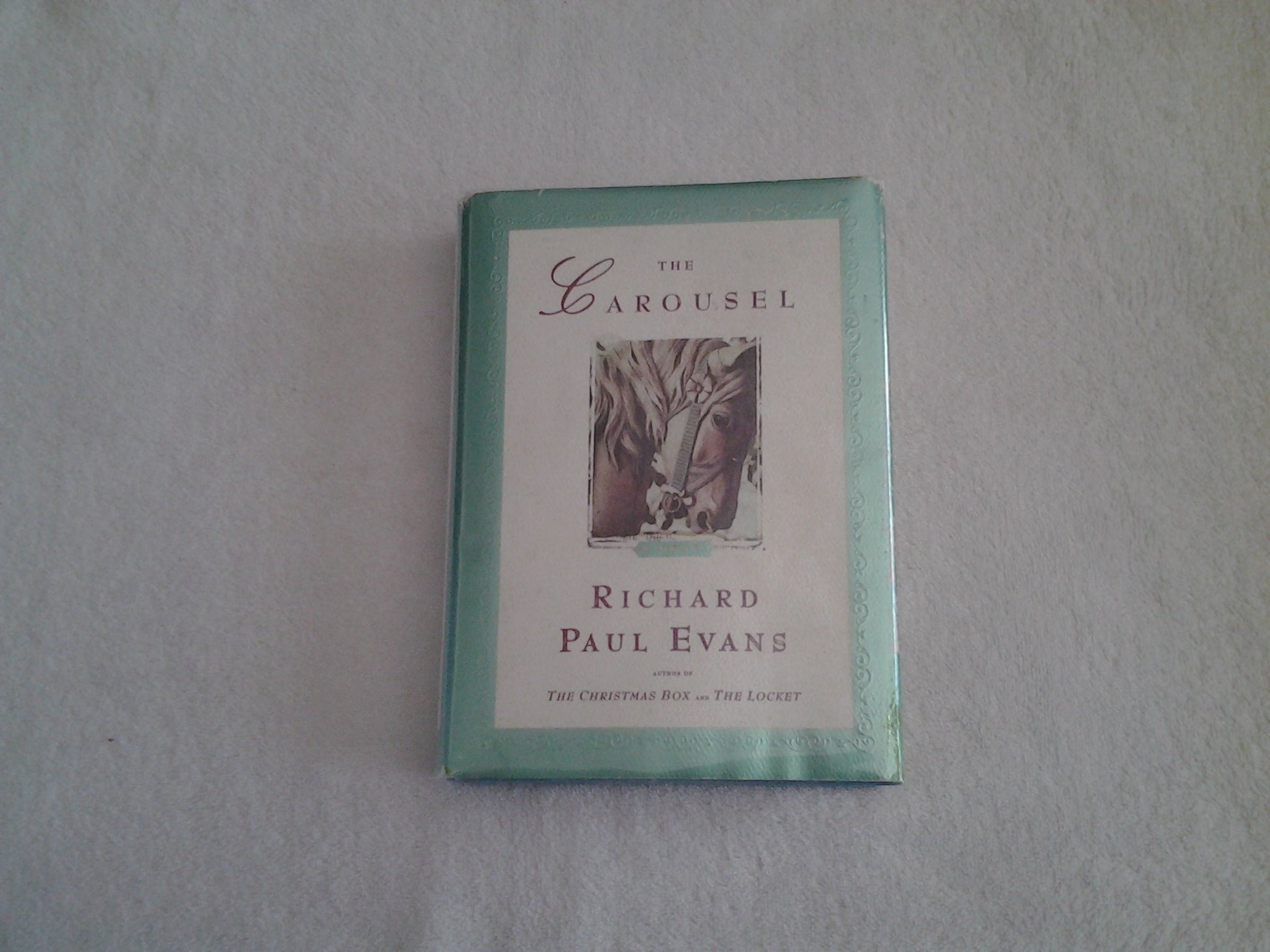 The Carousel: A Novel The Happy Book Stack