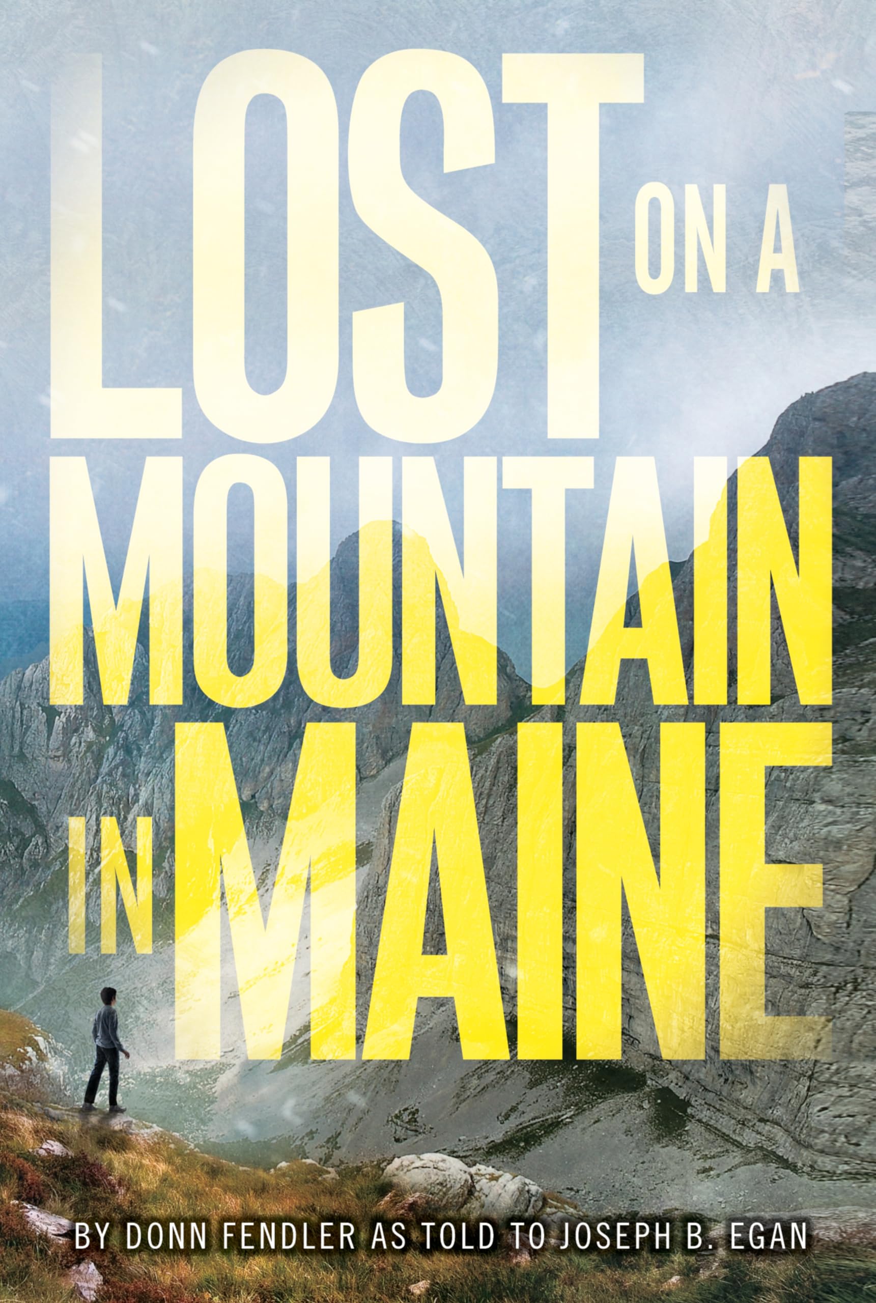 Lost on a Mountain in Maine The Happy Book Stack