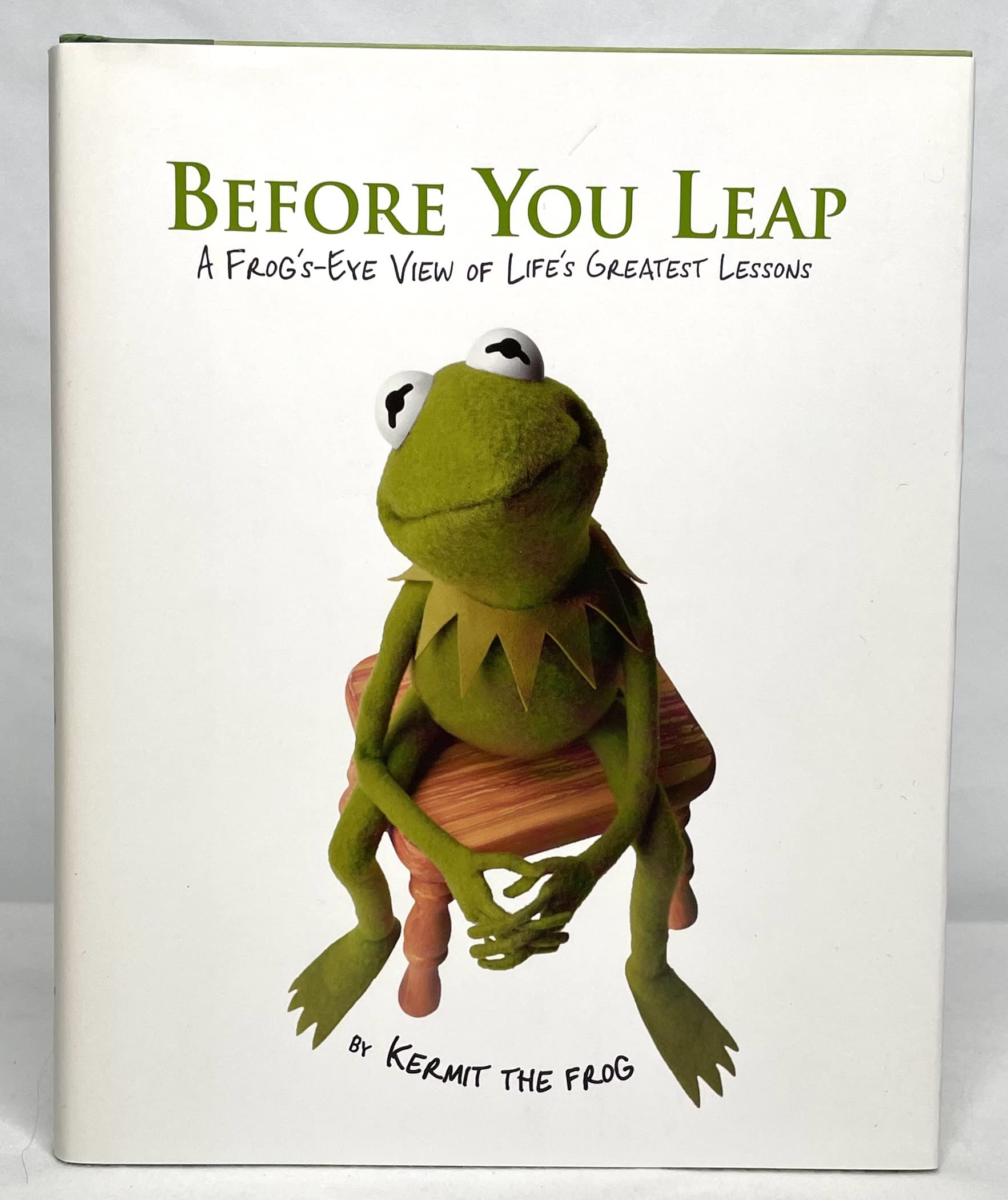 Before You Leap: A Frog's-eye View of Life's Greatest Lessons The Happy Book Stack