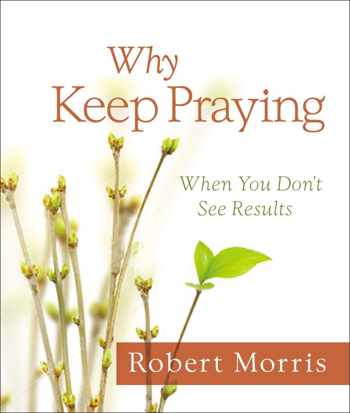 Why Keep Praying?: When You Don't See Results The Happy Book Stack