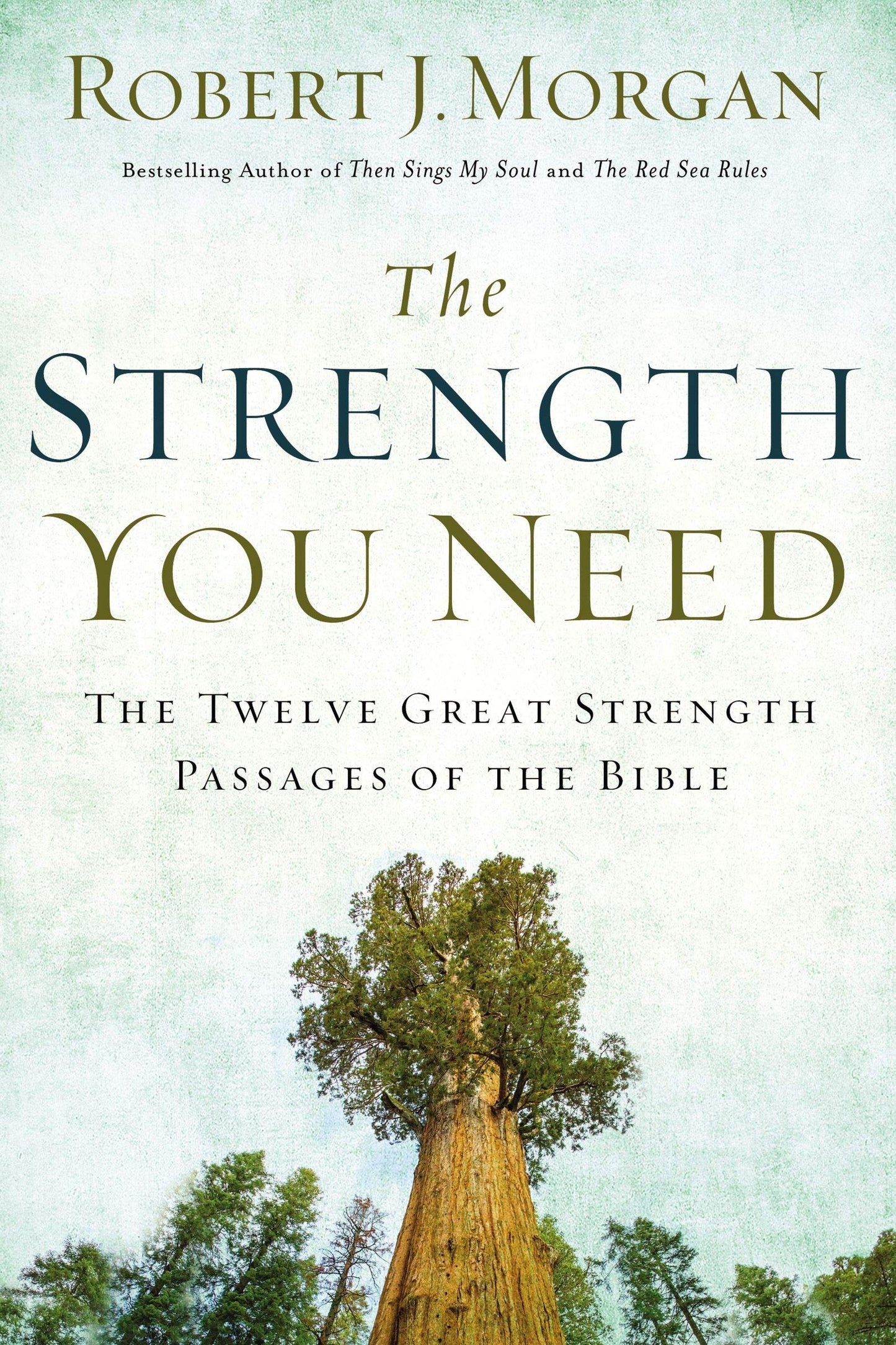 The Strength You Need: The Twelve Great Strength Passages of the Bible The Happy Book Stack