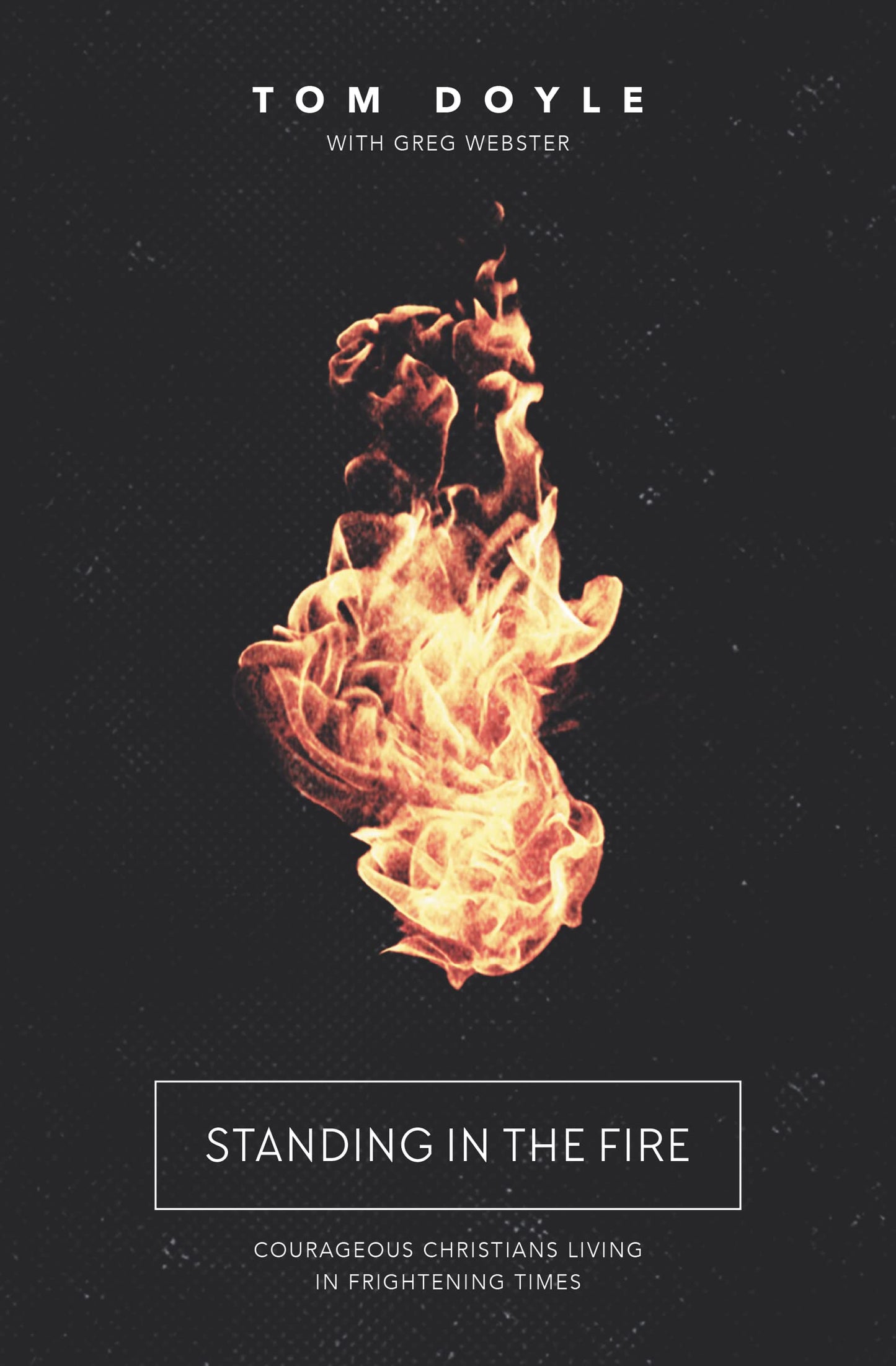 Standing in the Fire: Courageous Christians Living in Frightening Times The Happy Book Stack