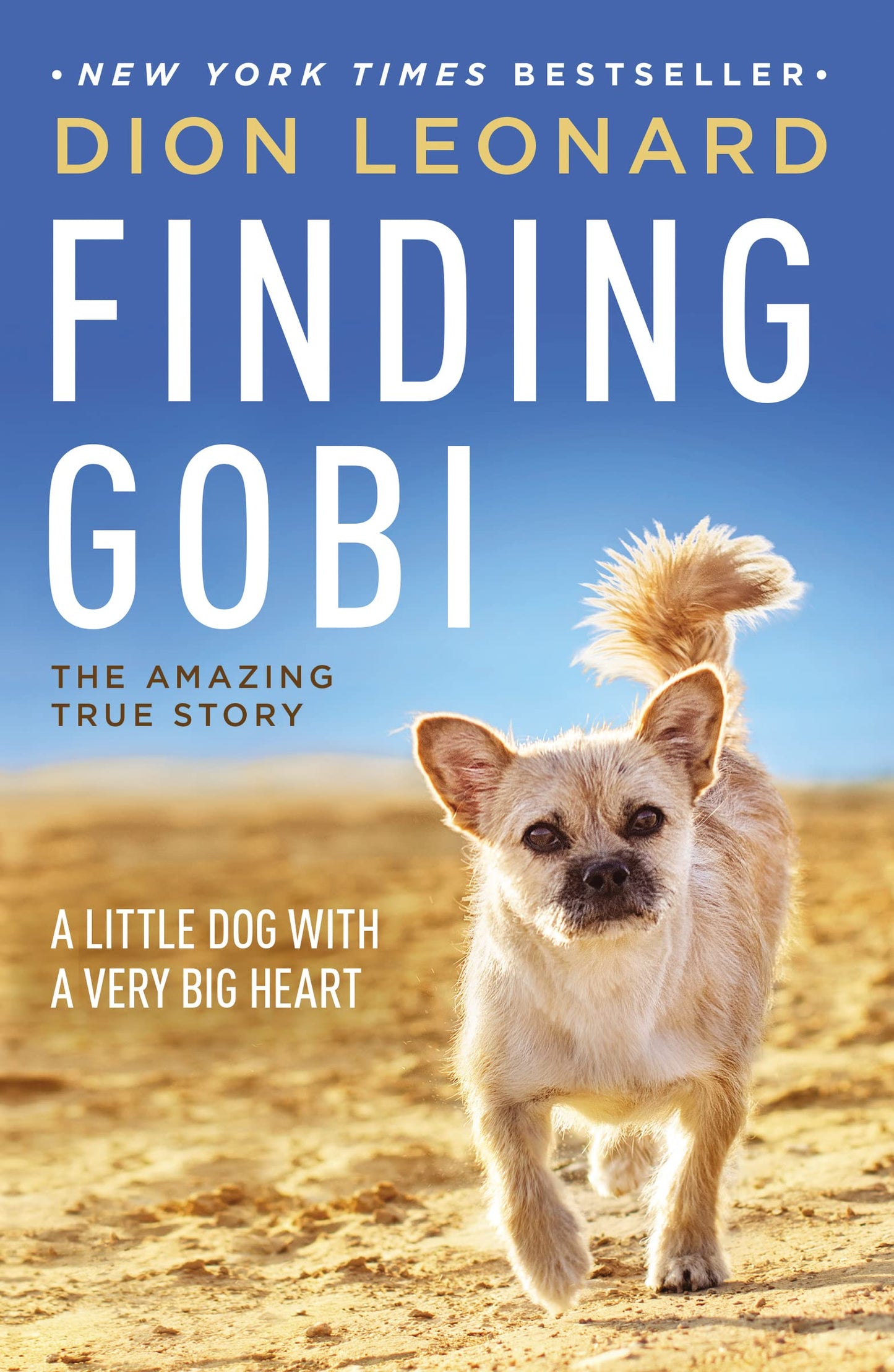 Finding Gobi: A Little Dog with a Very Big Heart - 3956