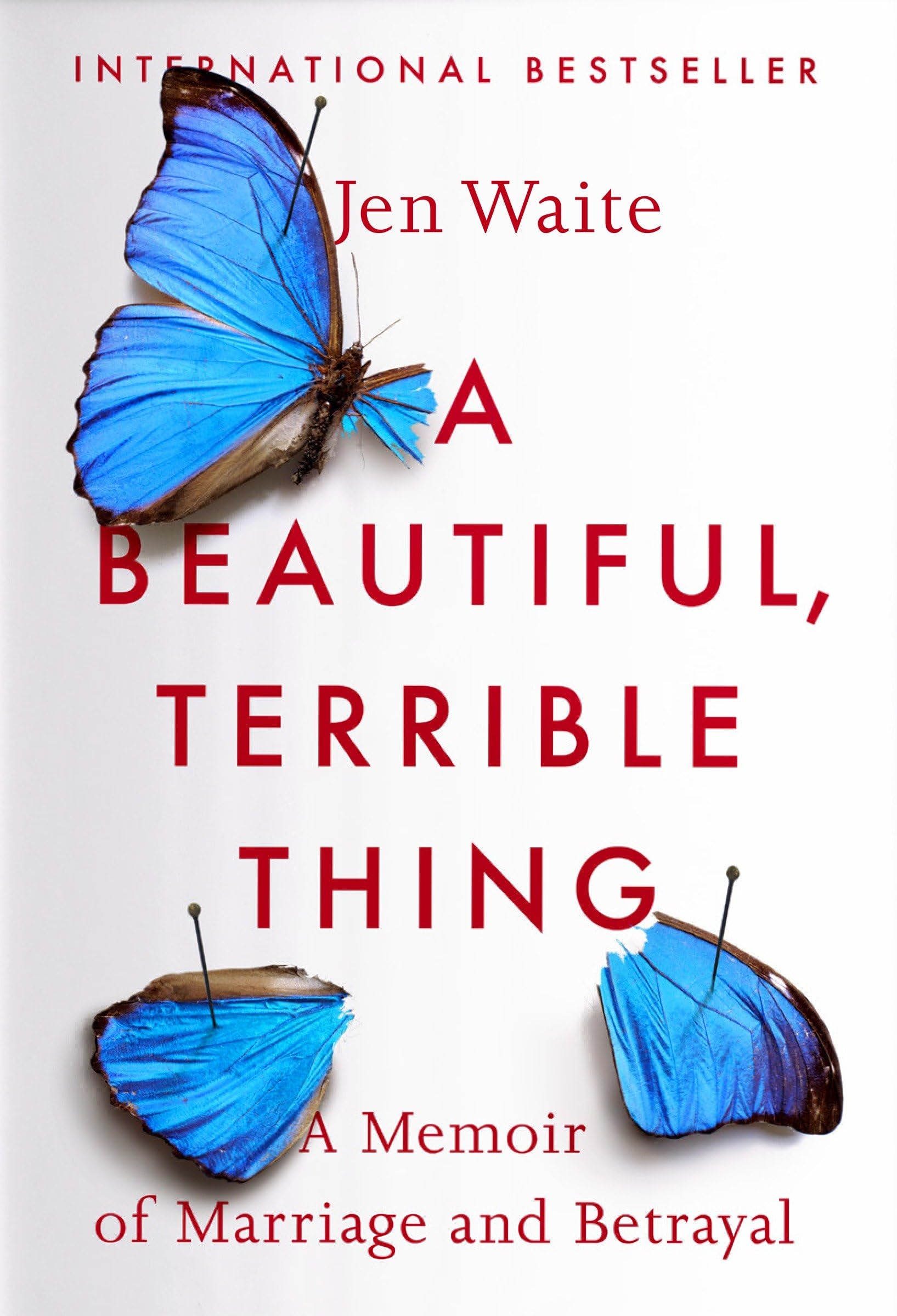 A Beautiful, Terrible Thing: A Memoir of Marriage and Betrayal The Happy Book Stack