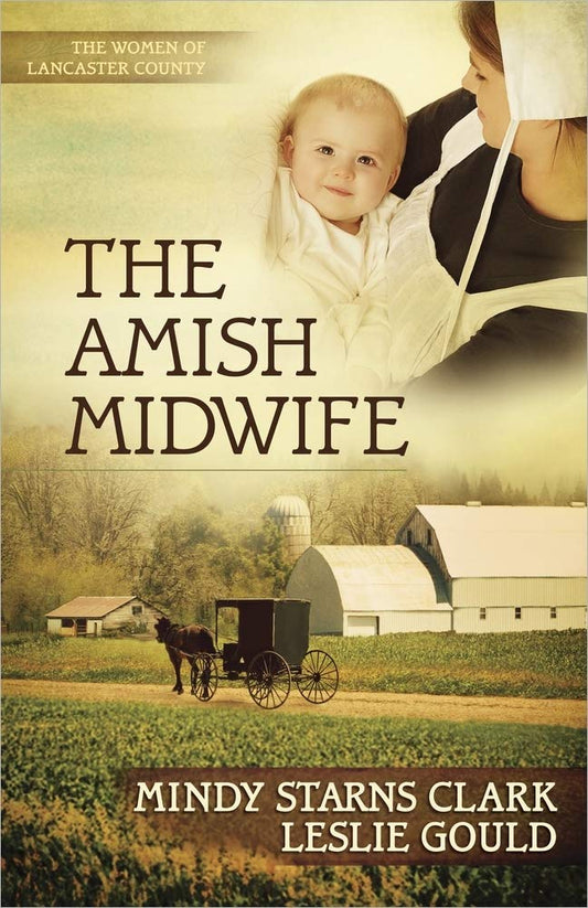 The Amish Midwife (Volume 1) (The Women of Lancaster County) The Happy Book Stack