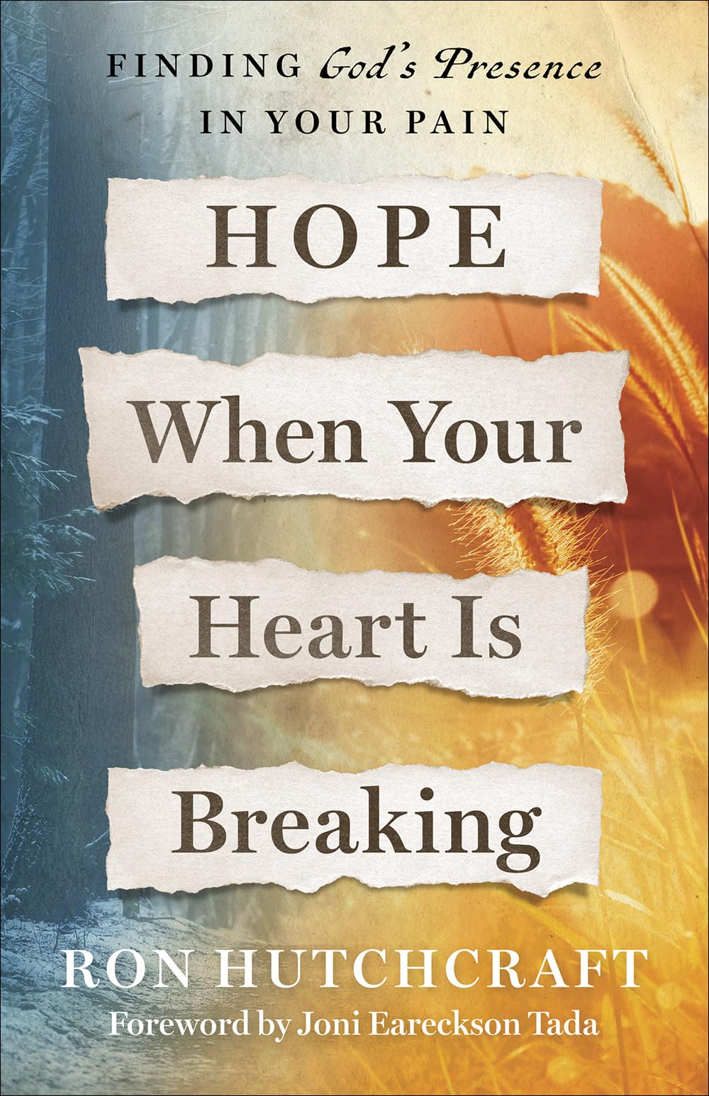 Hope When Your Heart Is Breaking: Finding God's Presence in Your Pain The Happy Book Stack