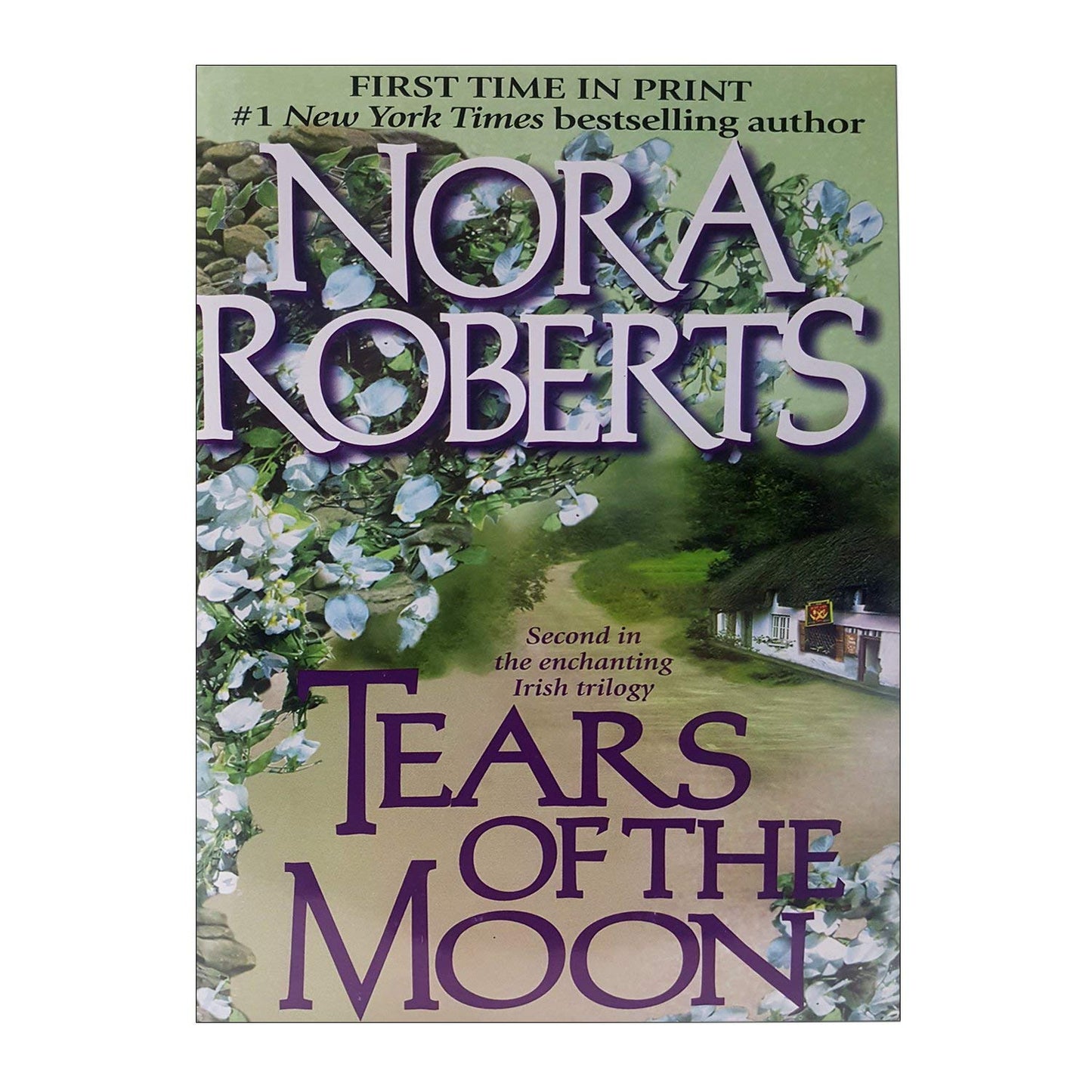 Tears of the Moon The Happy Book Stack
