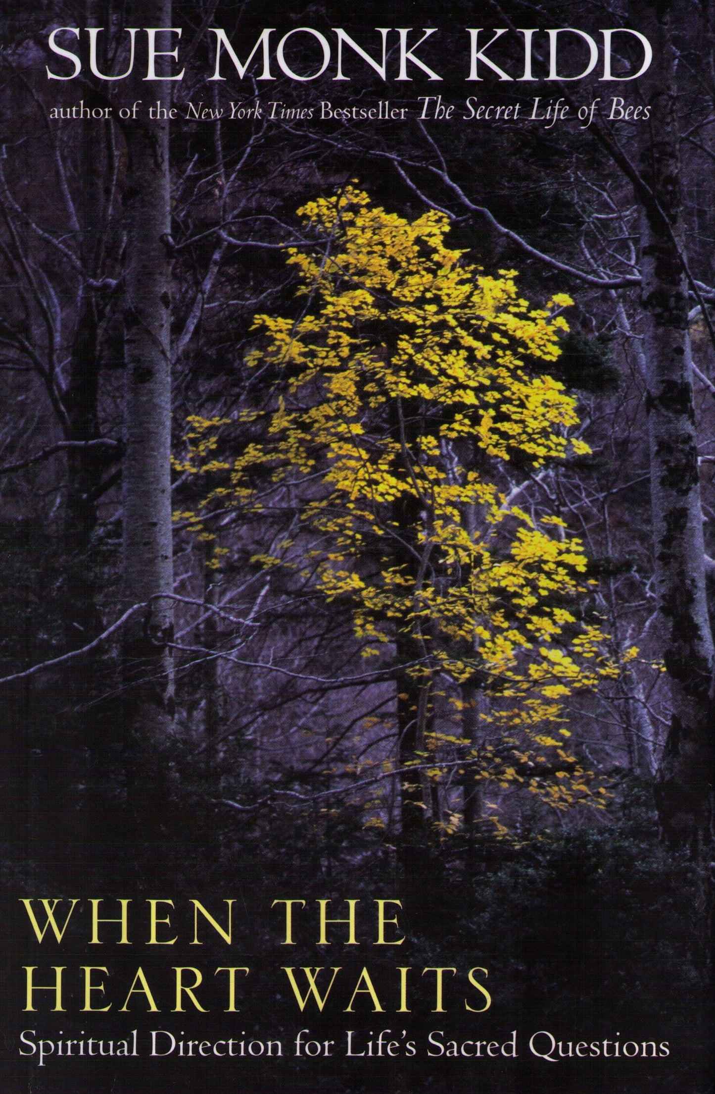 When the Heart Waits: Spiritual Direction for Life's Sacred Questions The Happy Book Stack