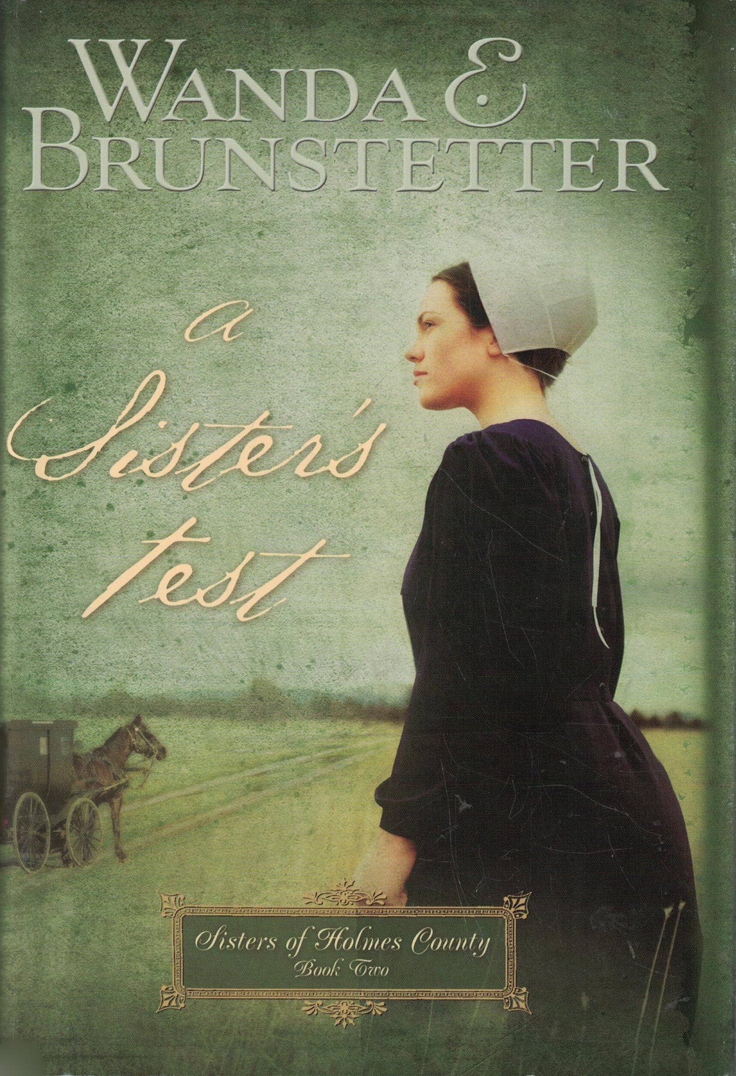 A Sister's Test (Sisters of Holmes County #2) The Happy Book Stack
