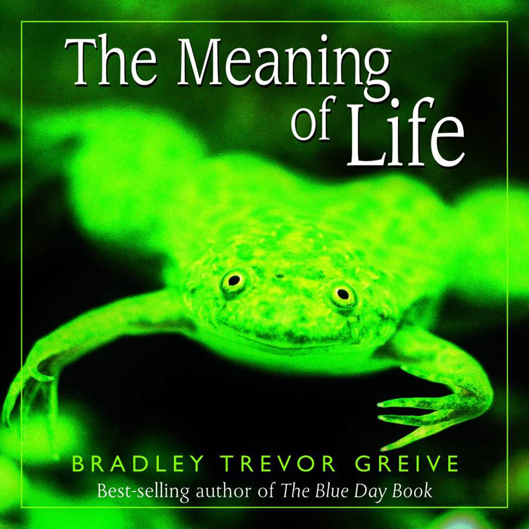 The Meaning Of Life The Happy Book Stack