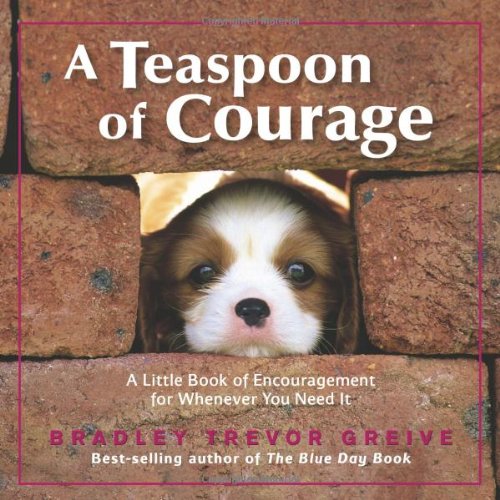A Teaspoon of Courage: A Little Book of Encouragement for Whenever You Need It The Happy Book Stack