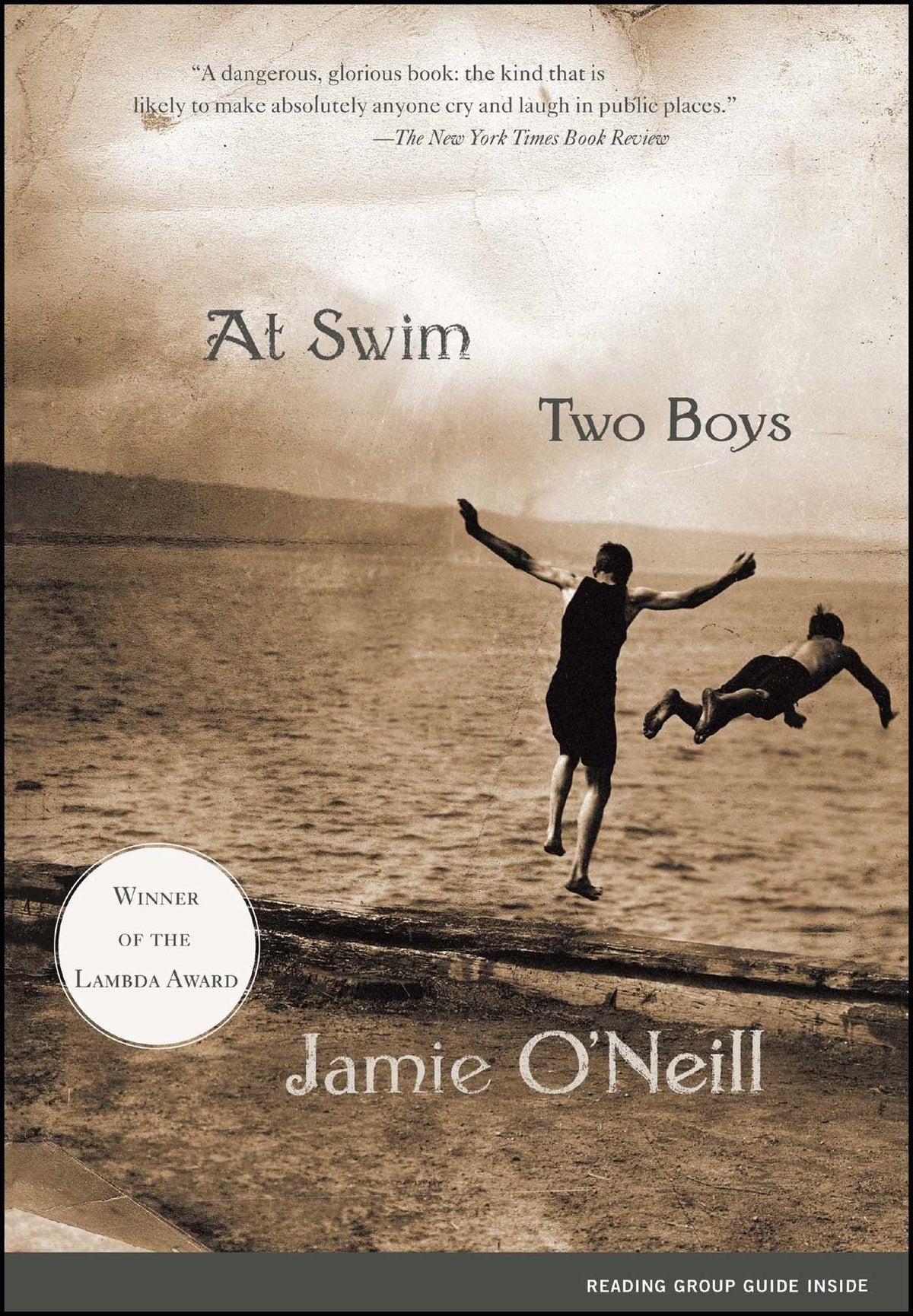 At Swim, Two Boys: A Novel (Award-Winning Fiction) The Happy Book Stack