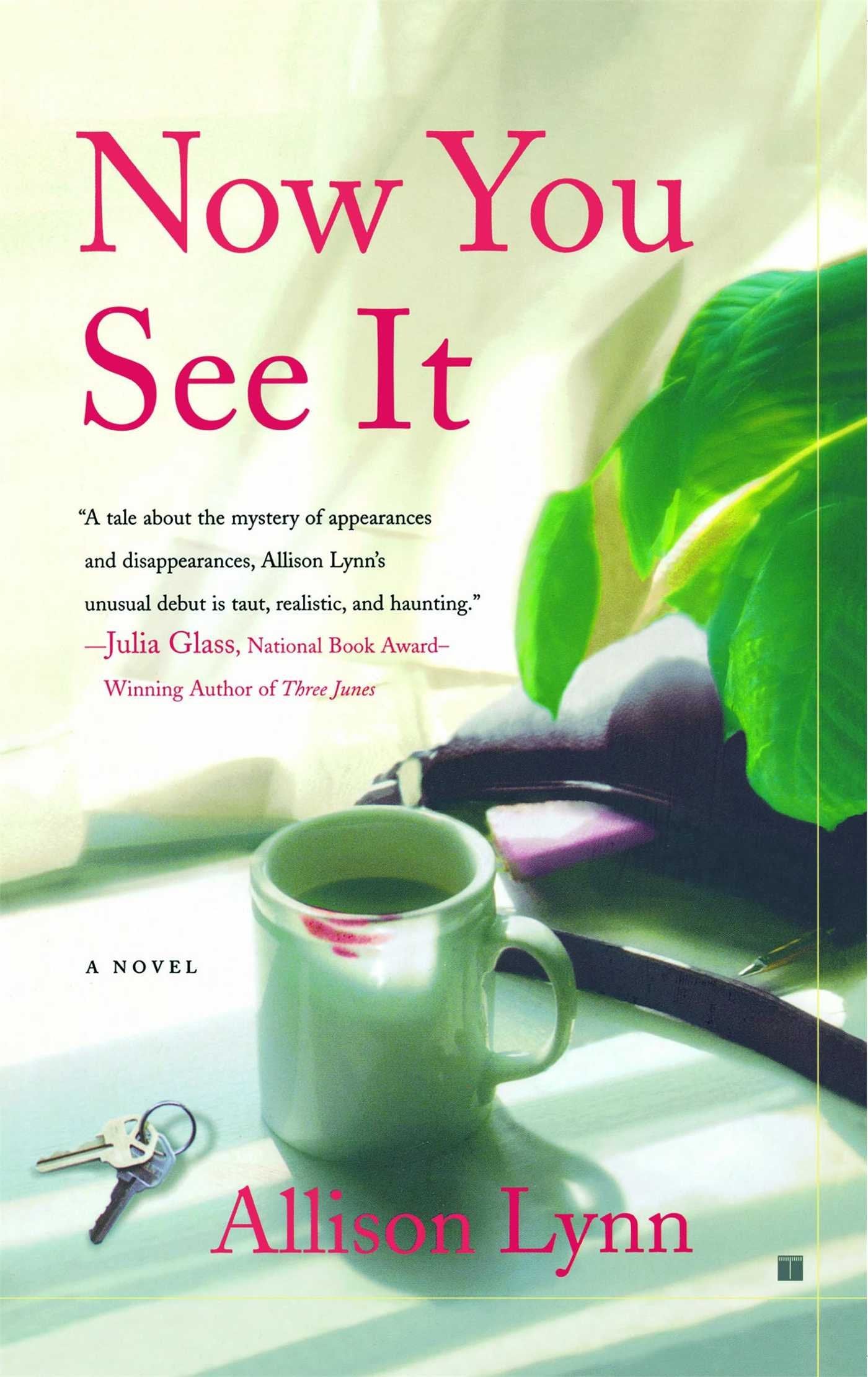 Now You See It: A Novel The Happy Book Stack
