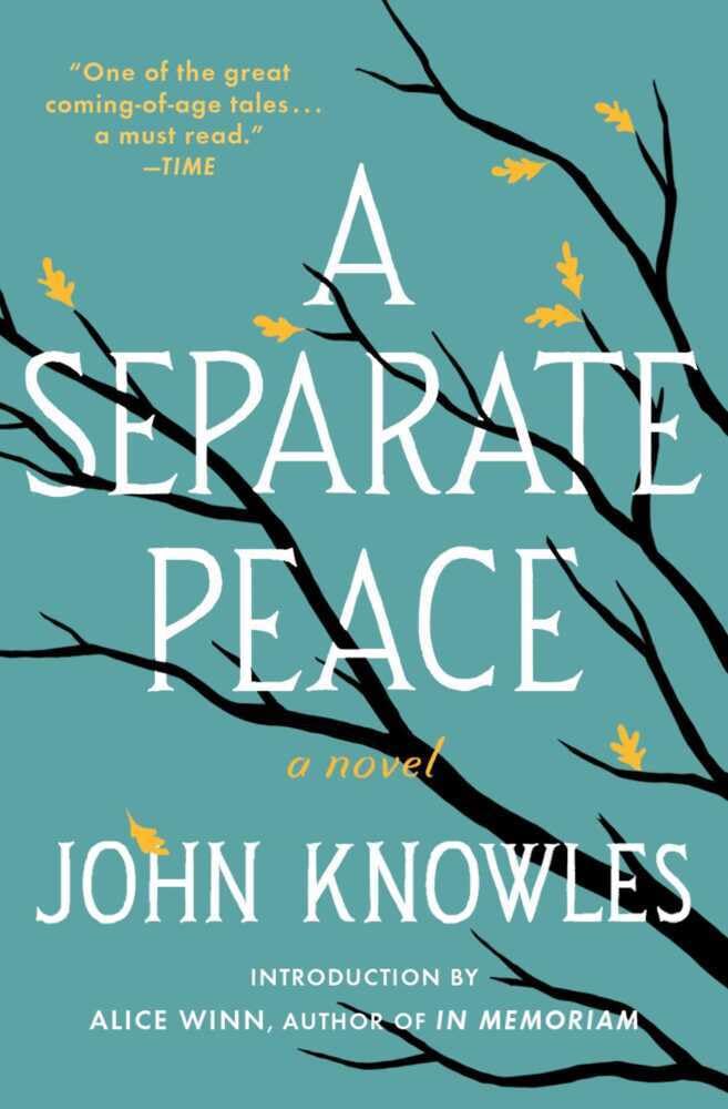 A Separate Peace The Happy Book Stack