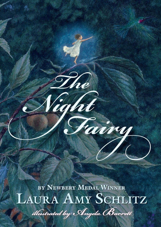 The Night Fairy The Happy Book Stack