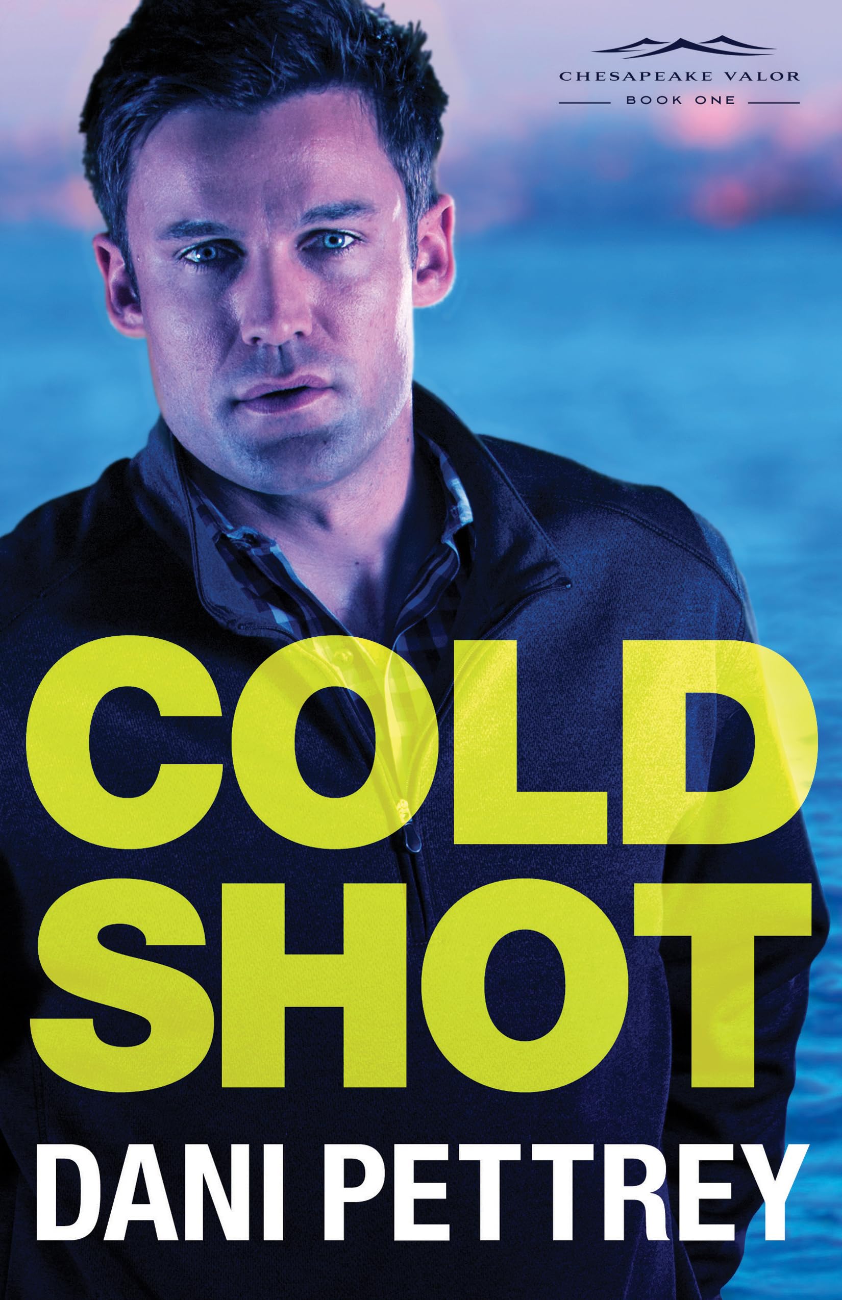 Cold Shot: An FBI Mystery Suspense Thriller Workplace Romance (Chesapeake Valor) The Happy Book Stack